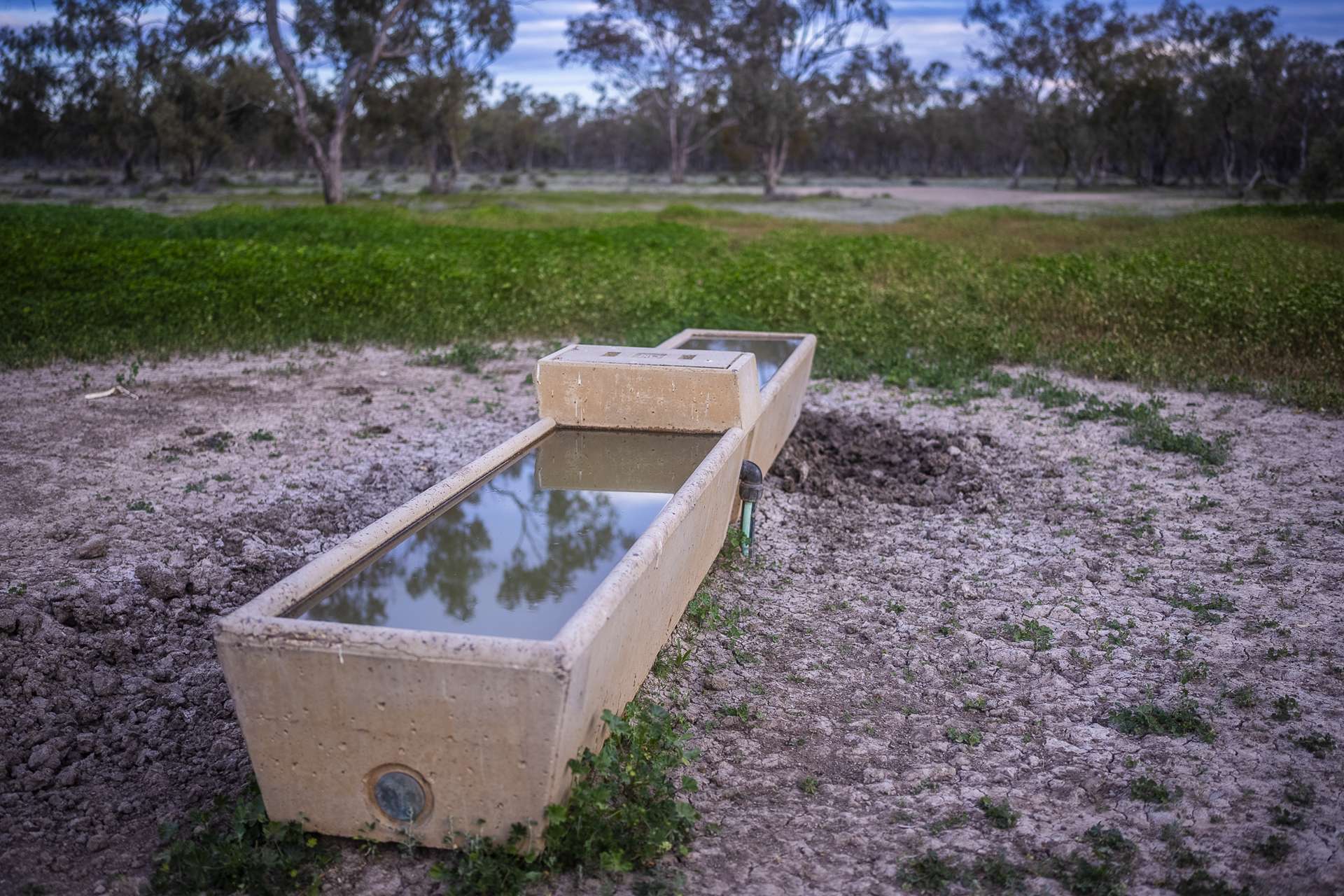 10415 Arthur Hall VC Way, Brewarrina Auction by Farmbuy.com - image 27