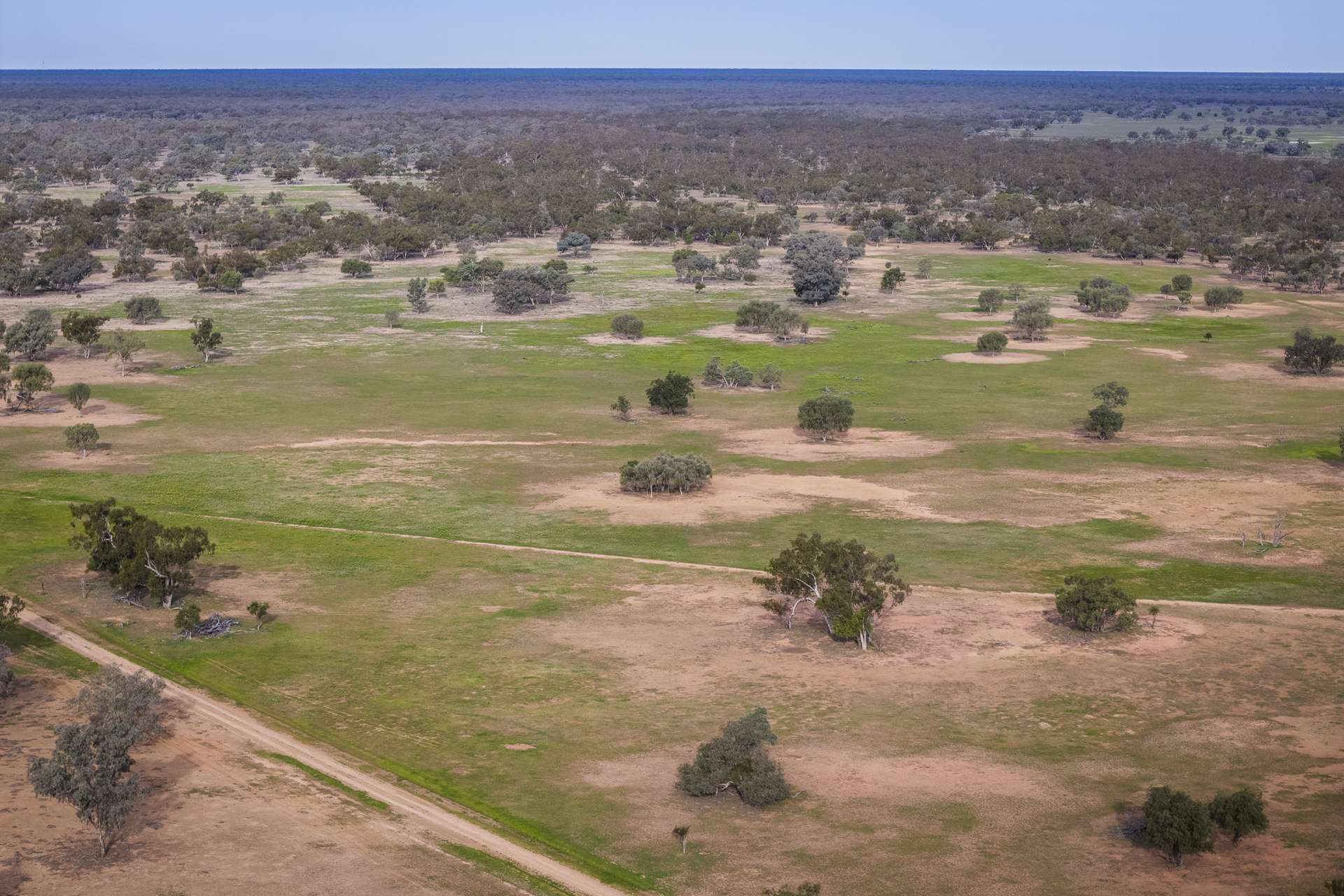 10415 Arthur Hall VC Way, Brewarrina Auction by Farmbuy.com - image 19
