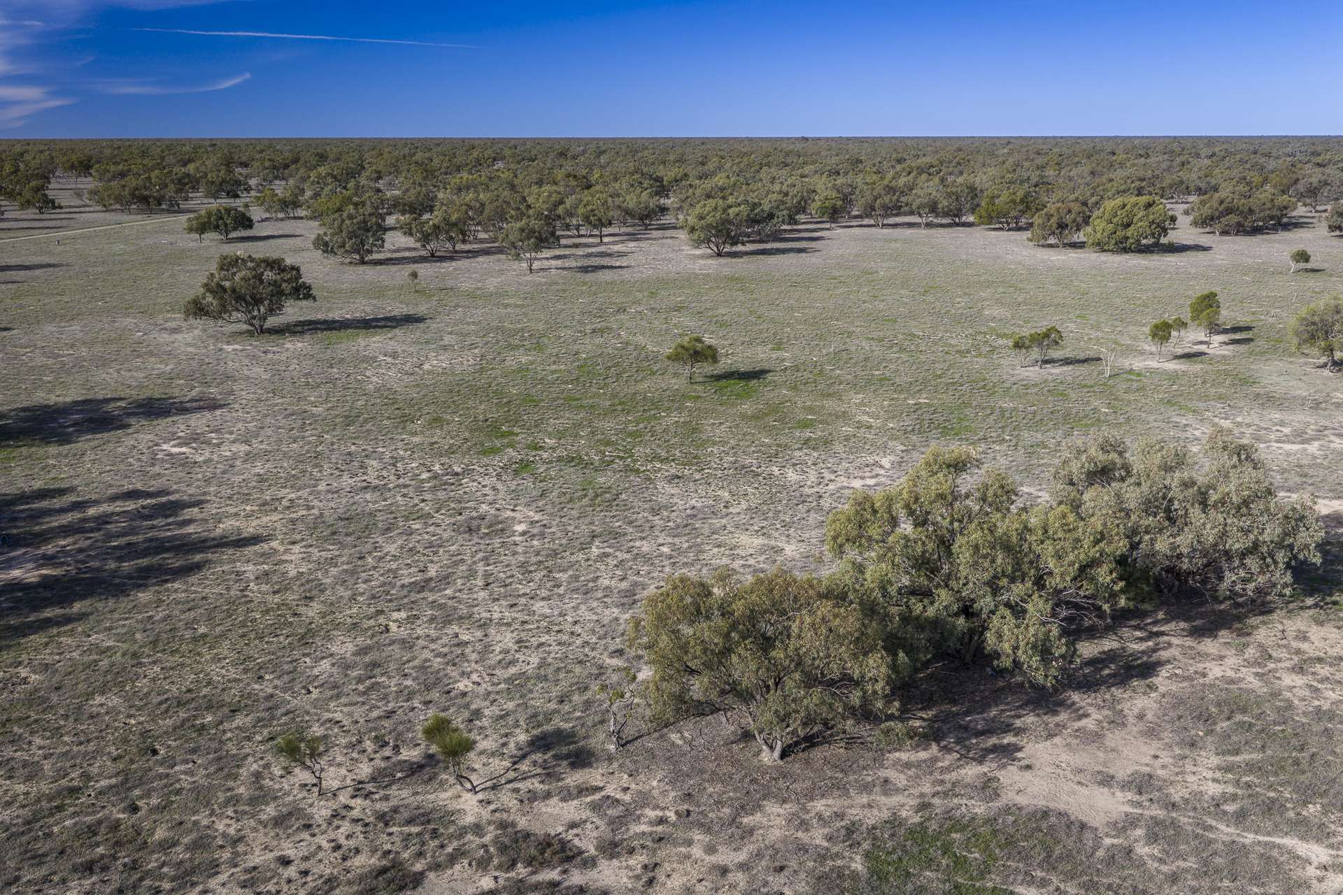 10415 Arthur Hall VC Way, Brewarrina Auction by Farmbuy.com - image 6