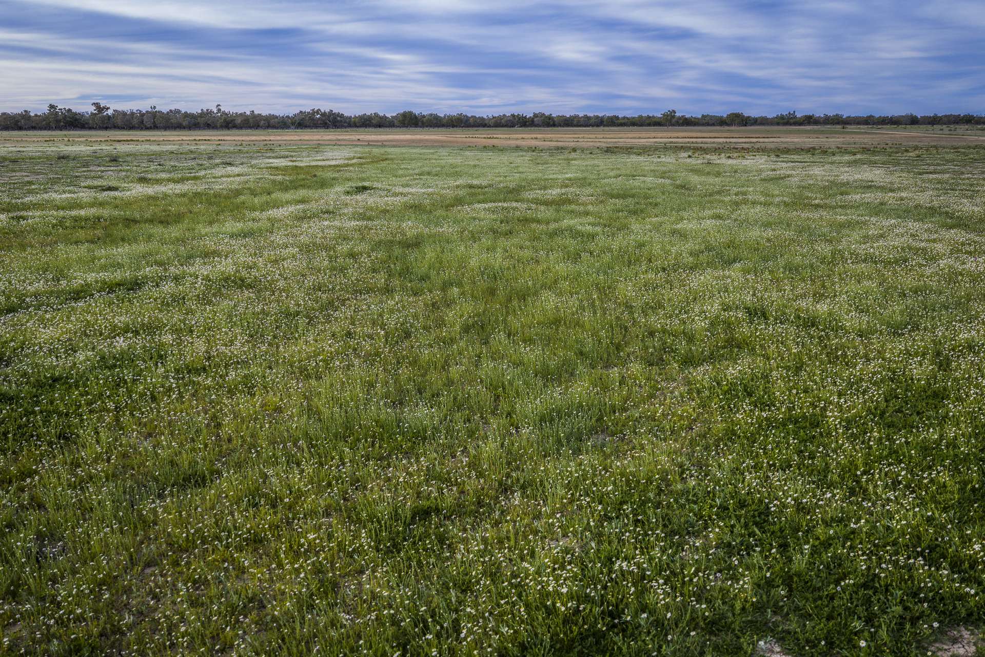 10415 Arthur Hall VC Way, Brewarrina Auction by Farmbuy.com - image 21