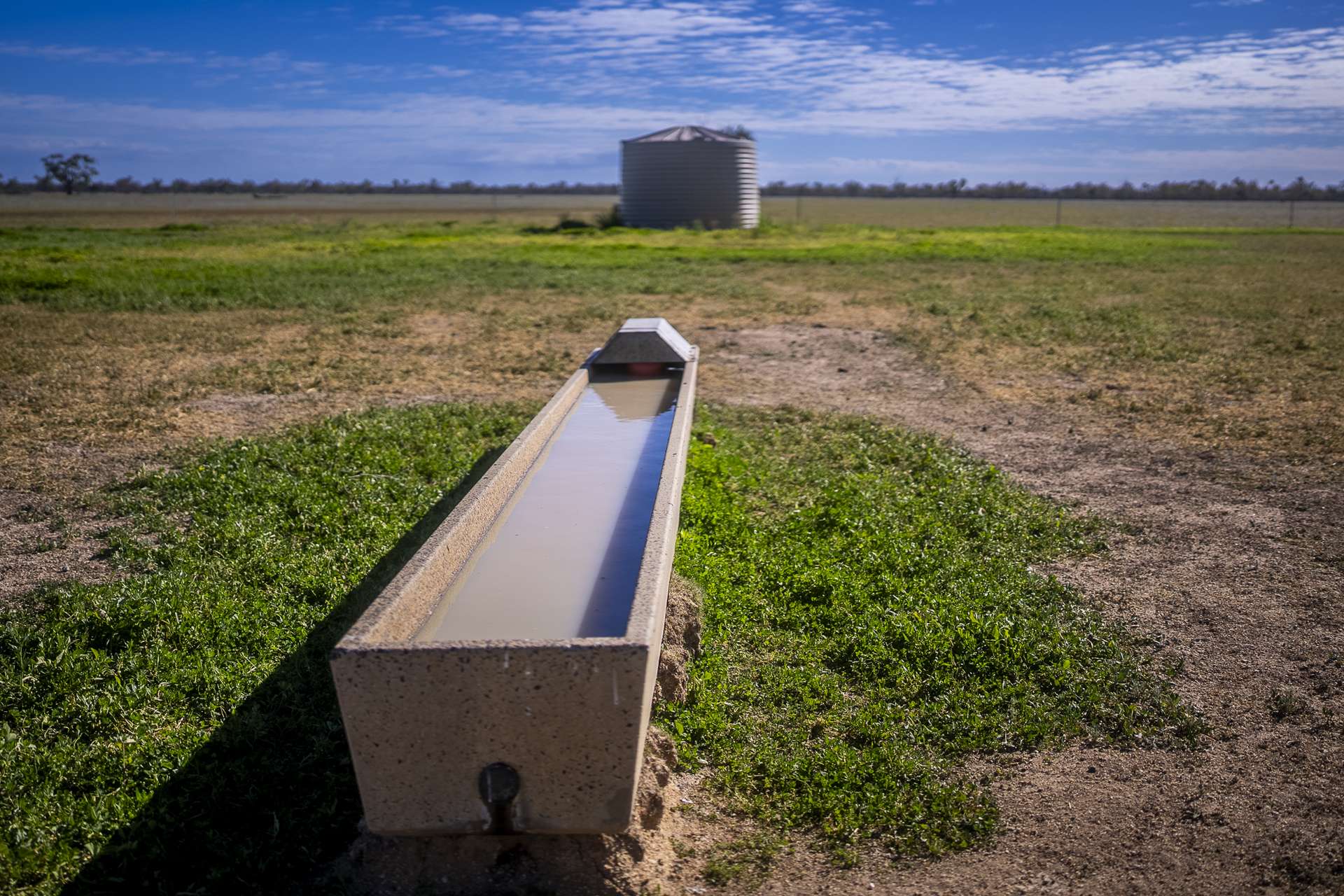7082 Kamilaroi Highway, Brewarrina Auction by Farmbuy.com - image 22