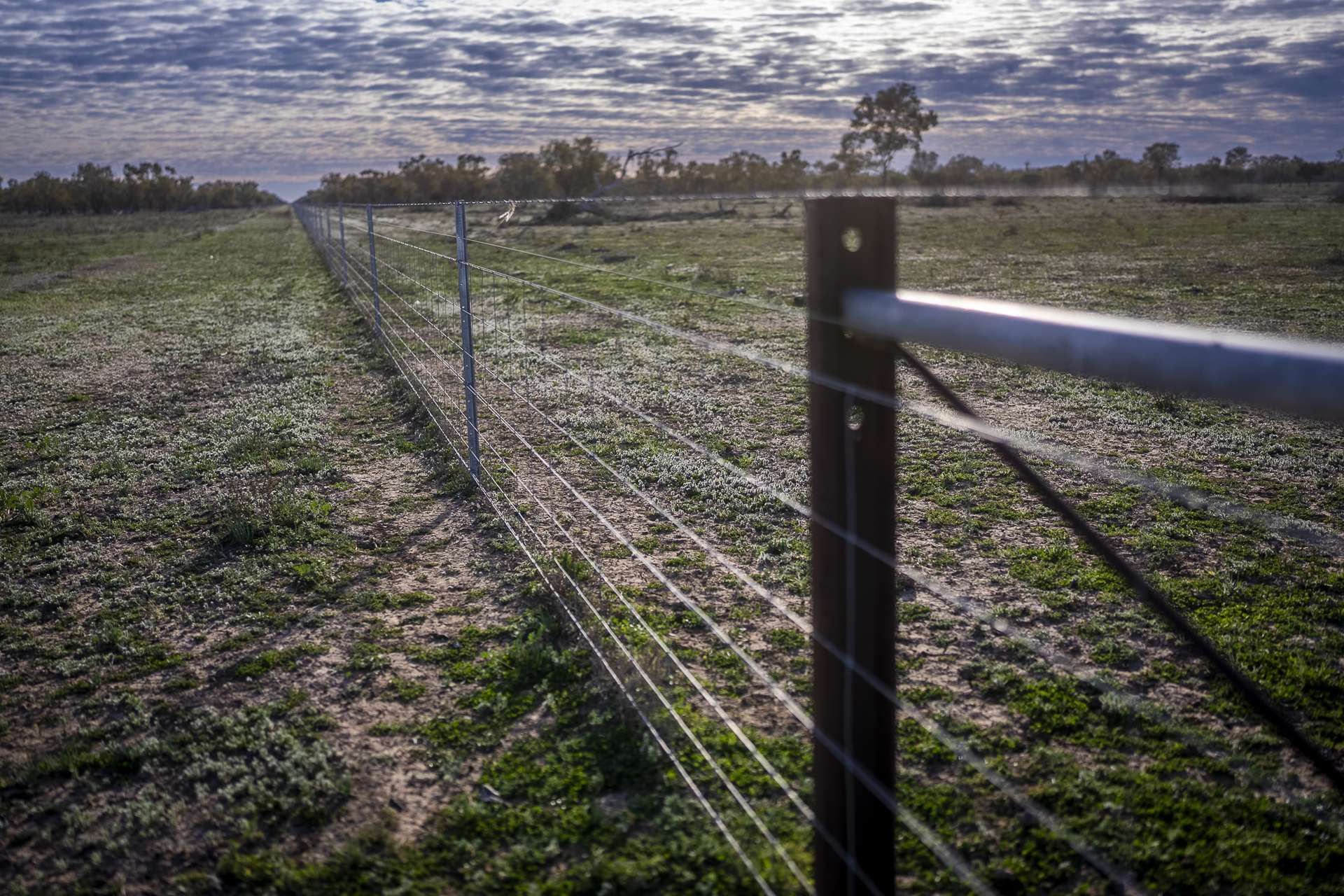 7082 Kamilaroi Highway, Brewarrina Auction by Farmbuy.com - image 9