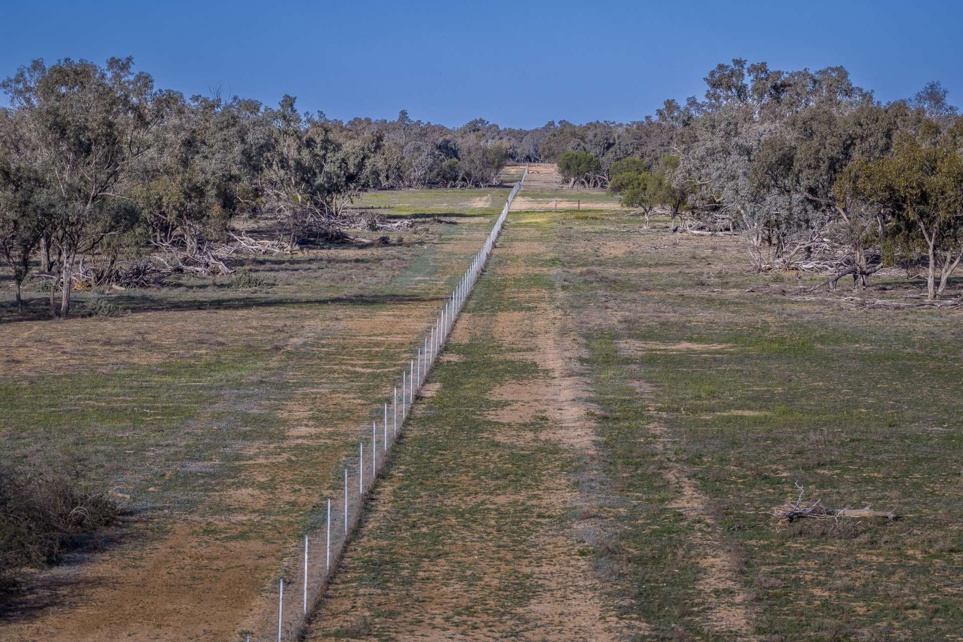 7082 Kamilaroi Highway, Brewarrina Auction by Farmbuy.com - image 18