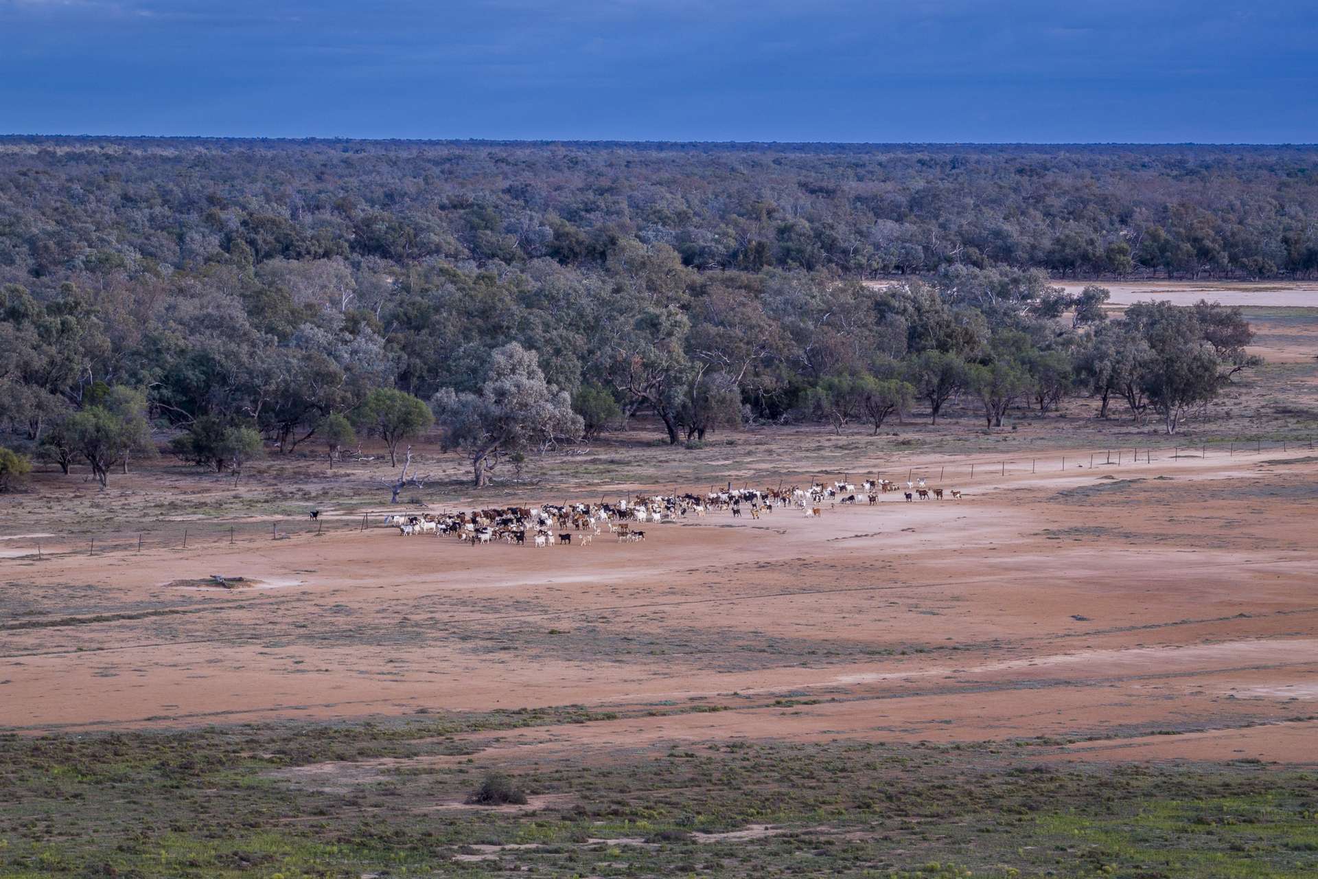 7082 Kamilaroi Highway, Brewarrina Auction by Farmbuy.com - image 11