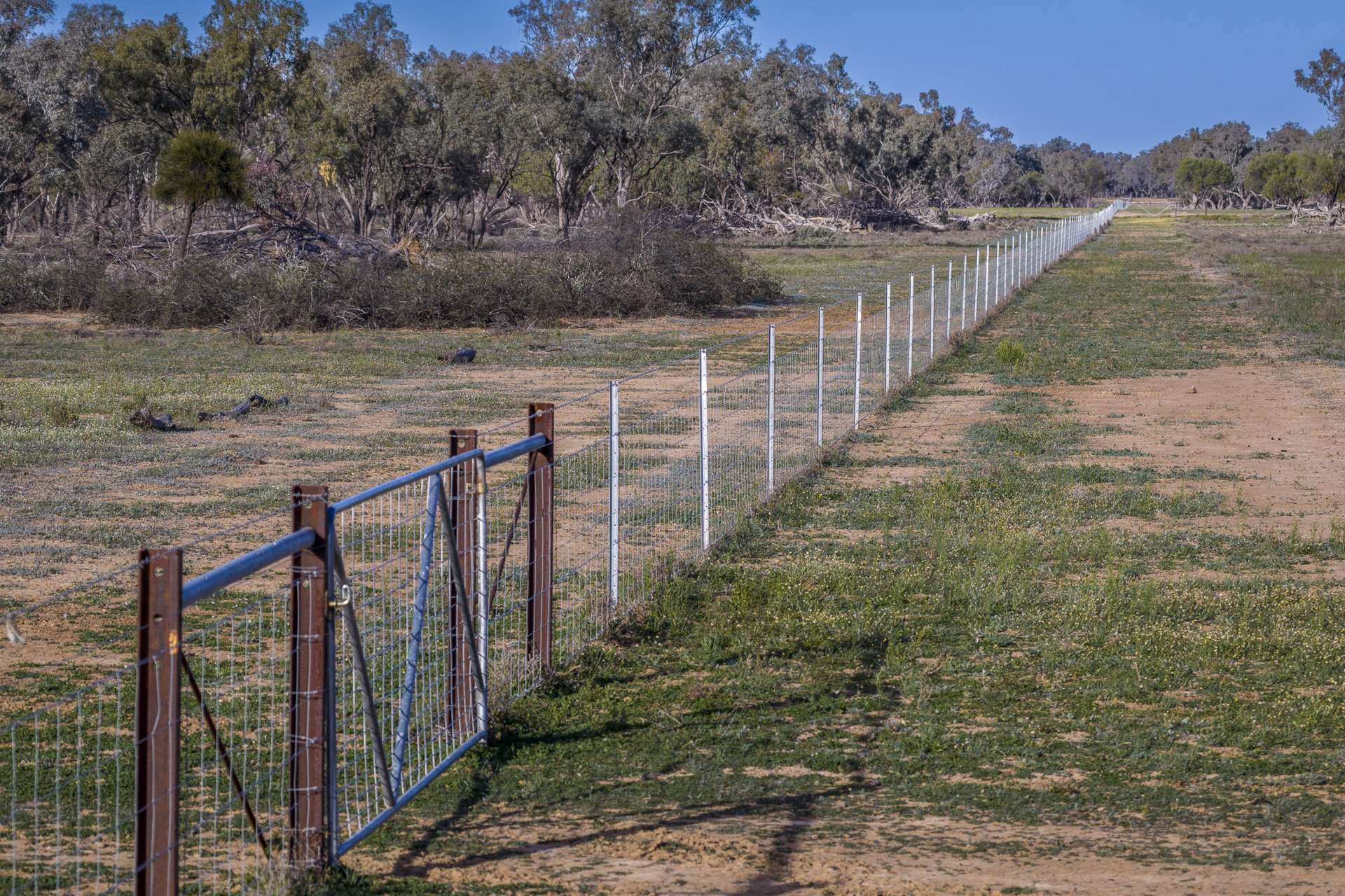 7082 Kamilaroi Highway, Brewarrina Auction by Farmbuy.com - image 23