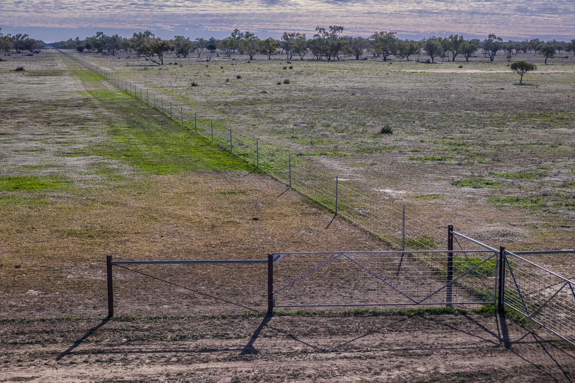 7082 Kamilaroi Highway, Brewarrina Auction by Farmbuy.com - image 5