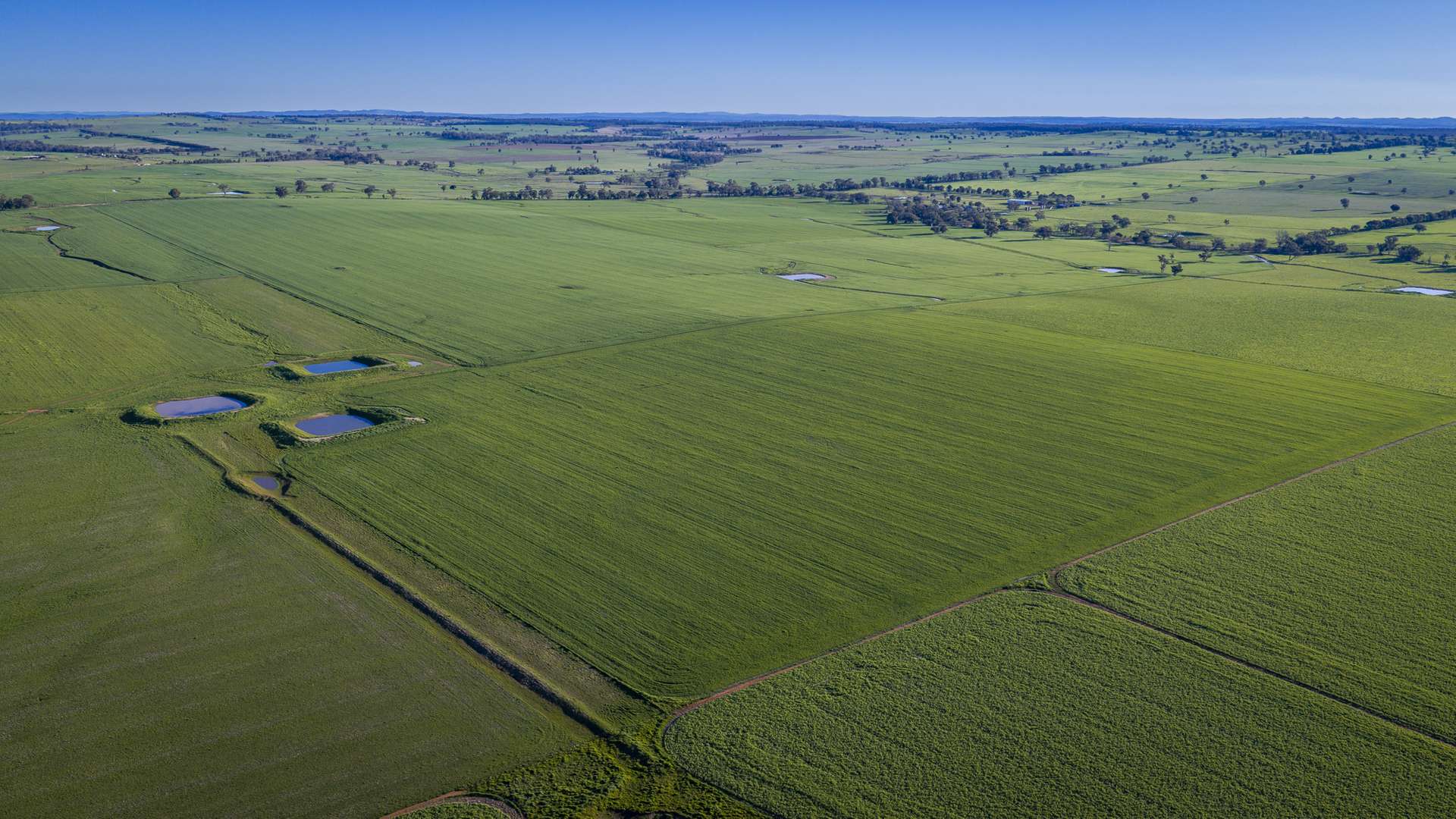 12R Quamby Road, Wongarbon Auction by Farmbuy.com - image 3