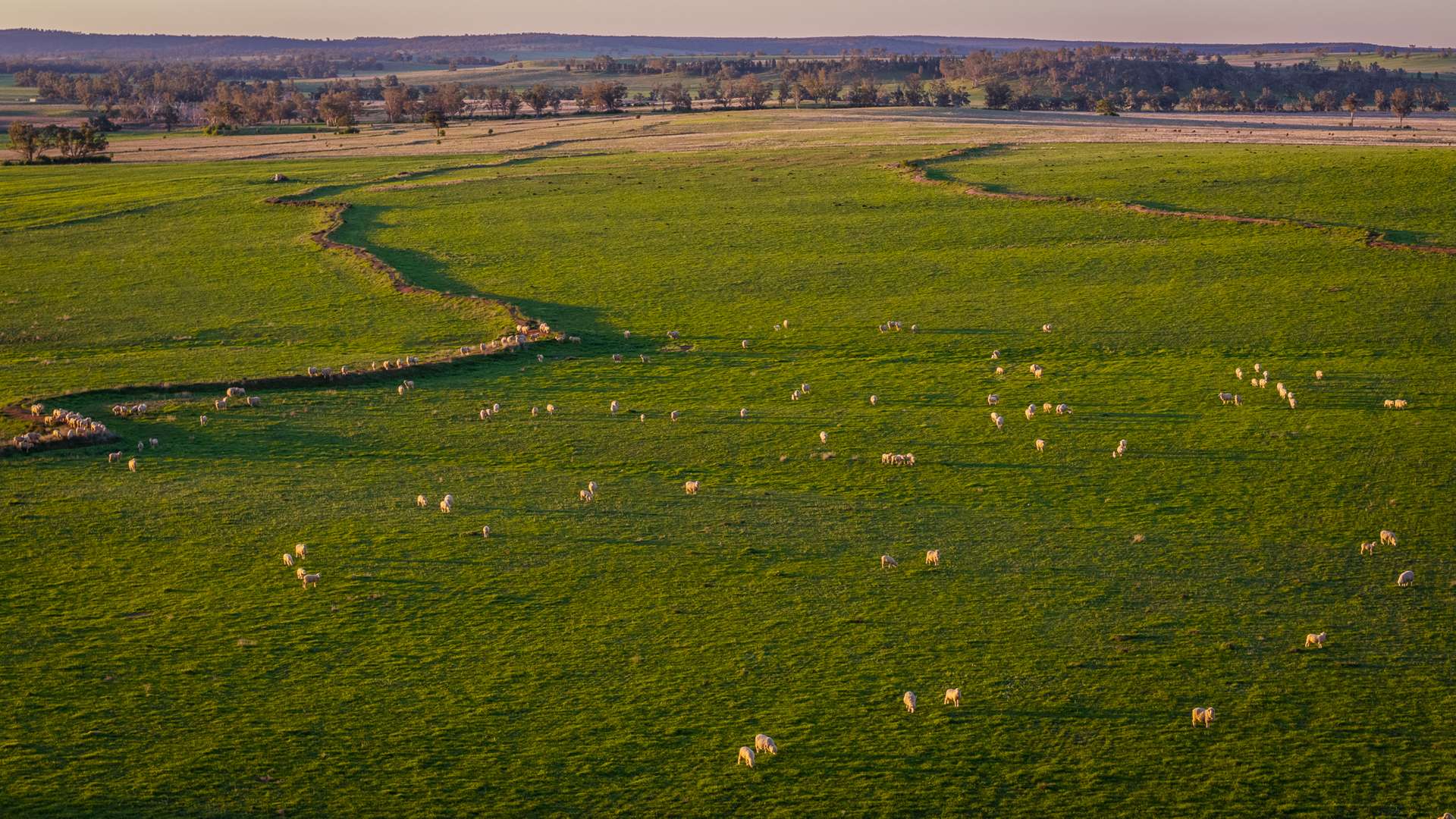 12R Quamby Road, Wongarbon Auction by Farmbuy.com - image 1