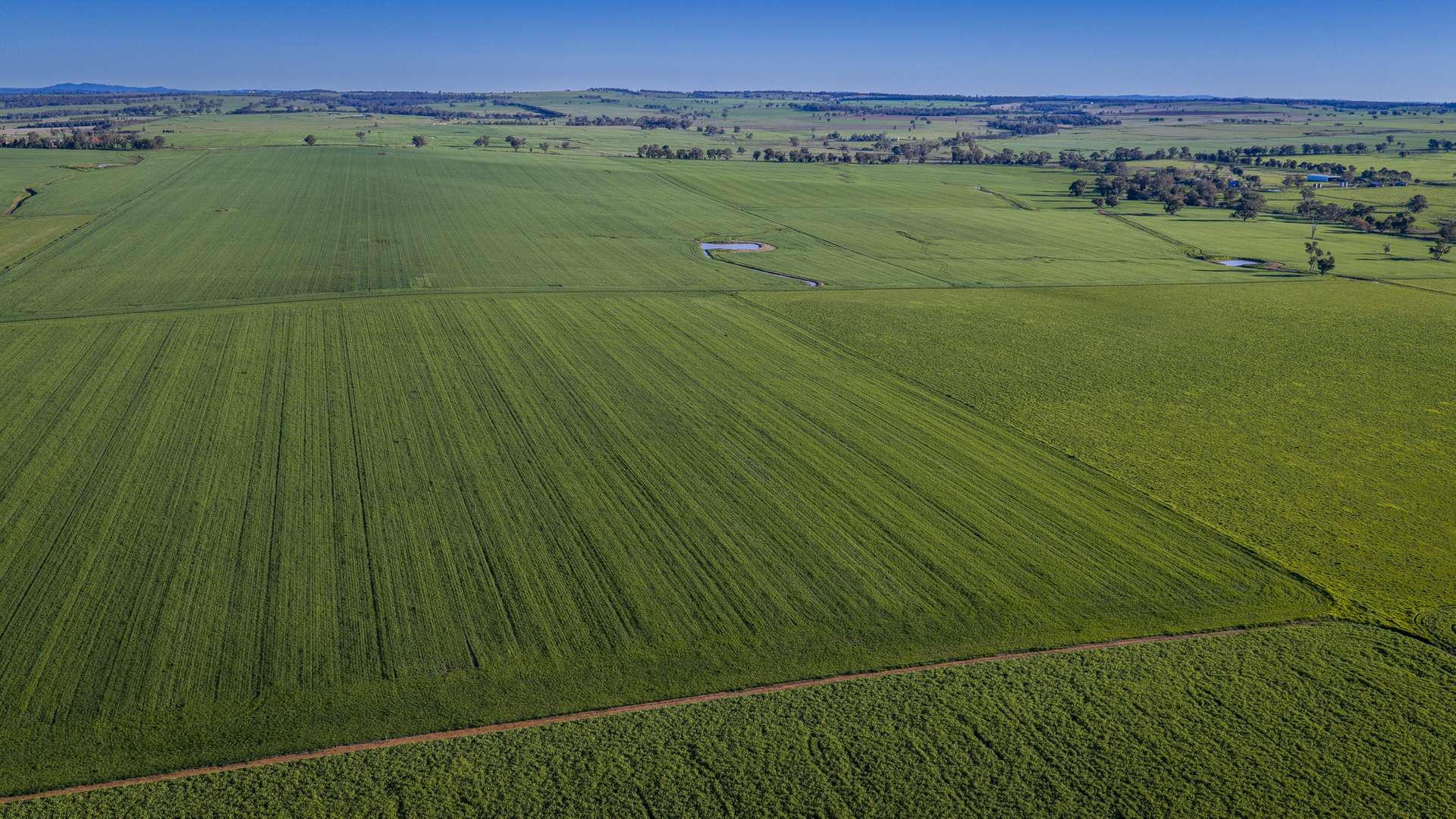 12R Quamby Road, Wongarbon Auction by Farmbuy.com - image 29