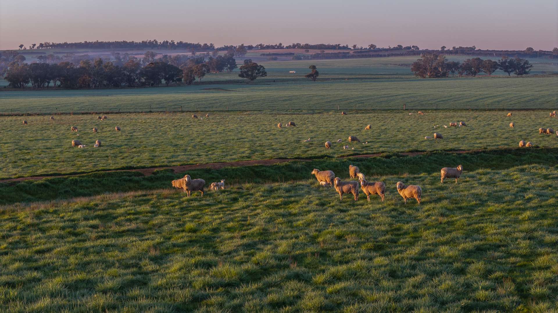 12R Quamby Road, Wongarbon Auction by Farmbuy.com - image 9