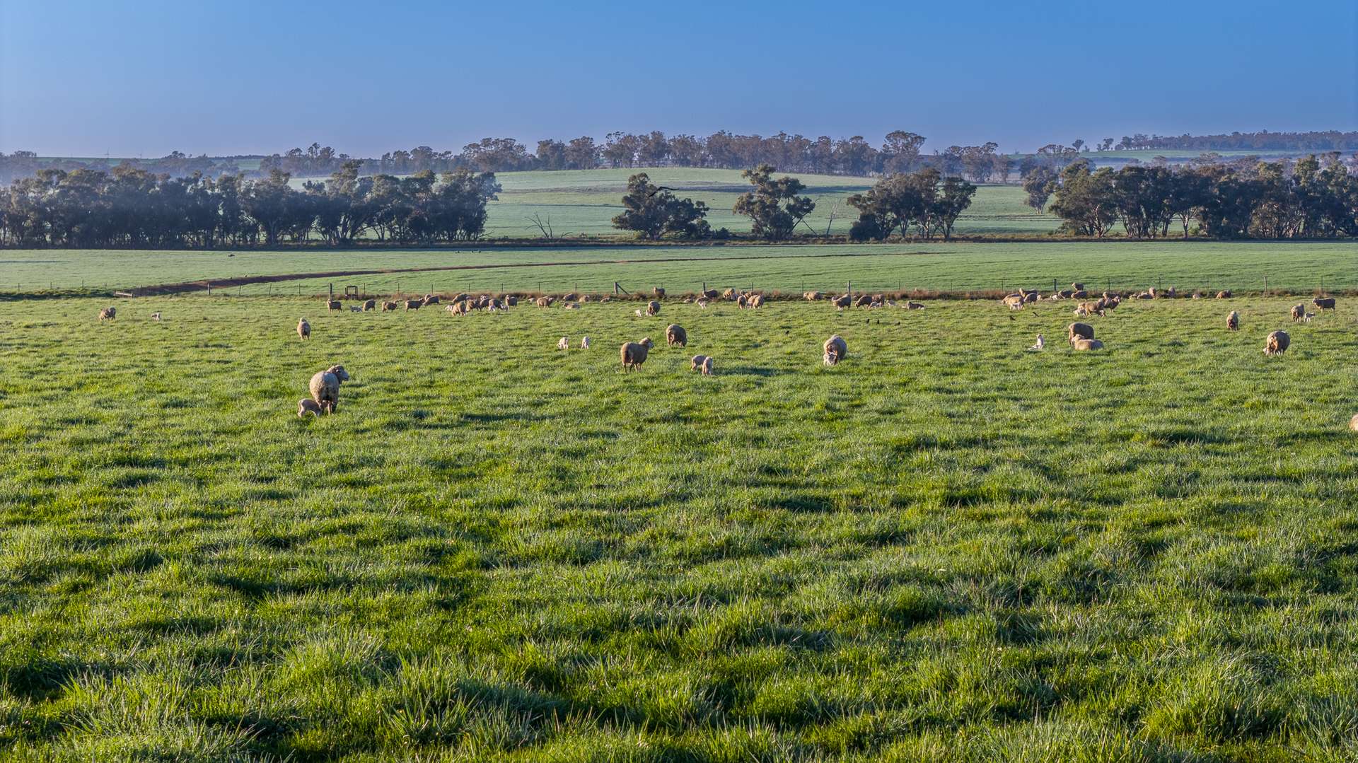 12R Quamby Road, Wongarbon Auction by Farmbuy.com - image 30