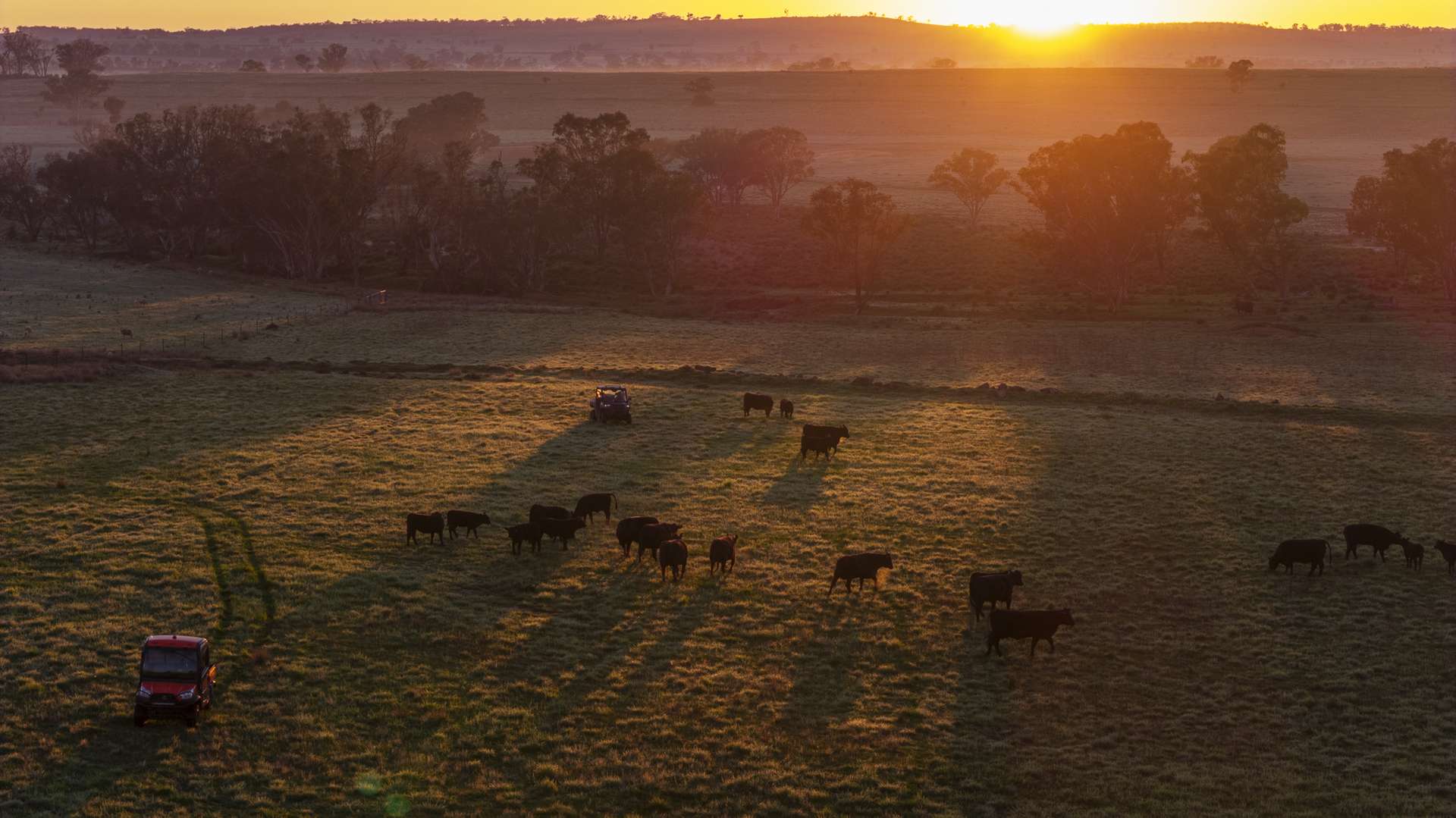 12R Quamby Road, Wongarbon Auction by Farmbuy.com - image 10
