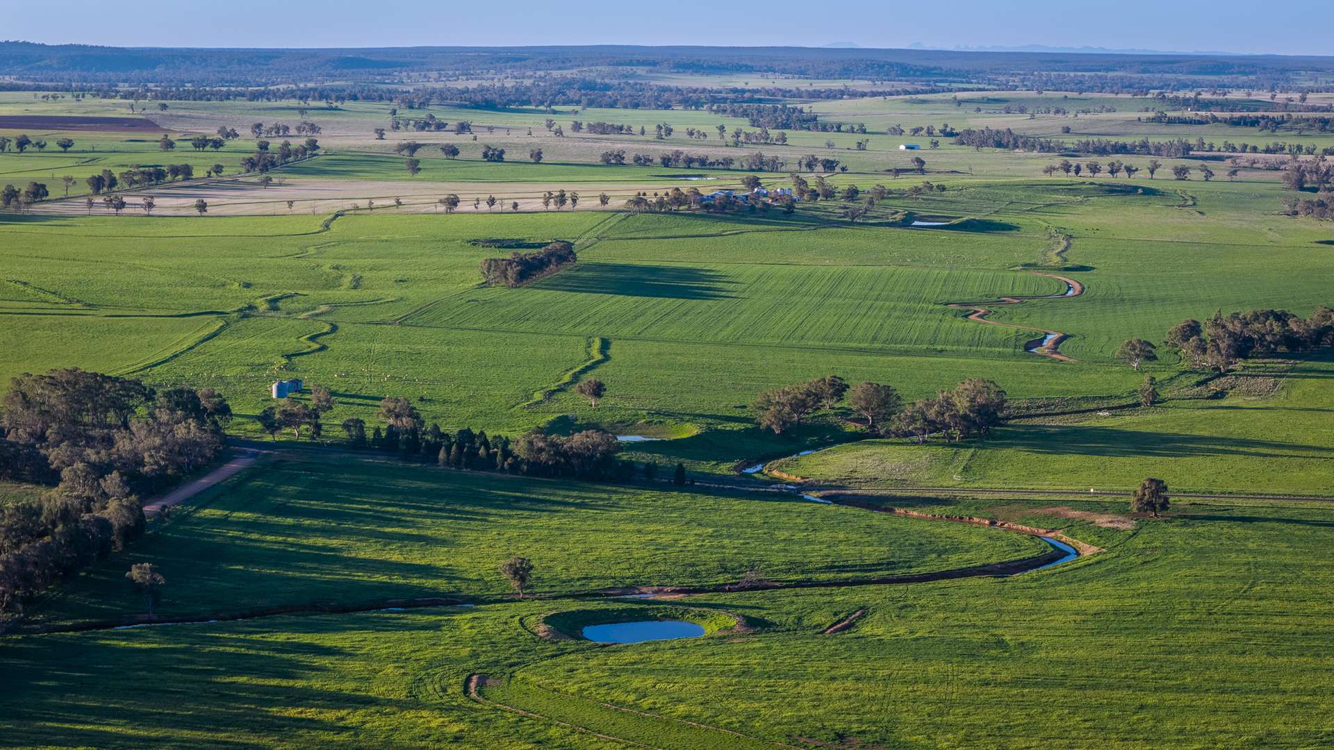 12R Quamby Road, Wongarbon Auction by Farmbuy.com - image 11
