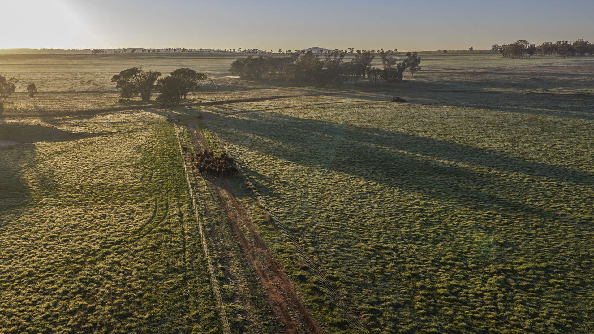 12R Quamby Road, Wongarbon Auction by Farmbuy.com - image 31