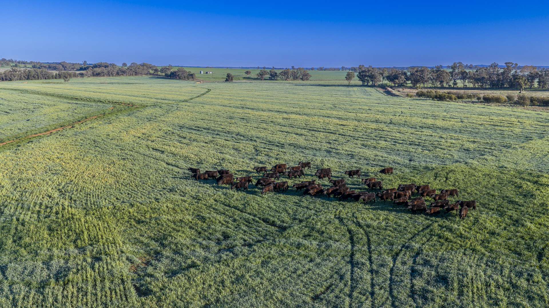 12R Quamby Road, Wongarbon Auction by Farmbuy.com - image 32