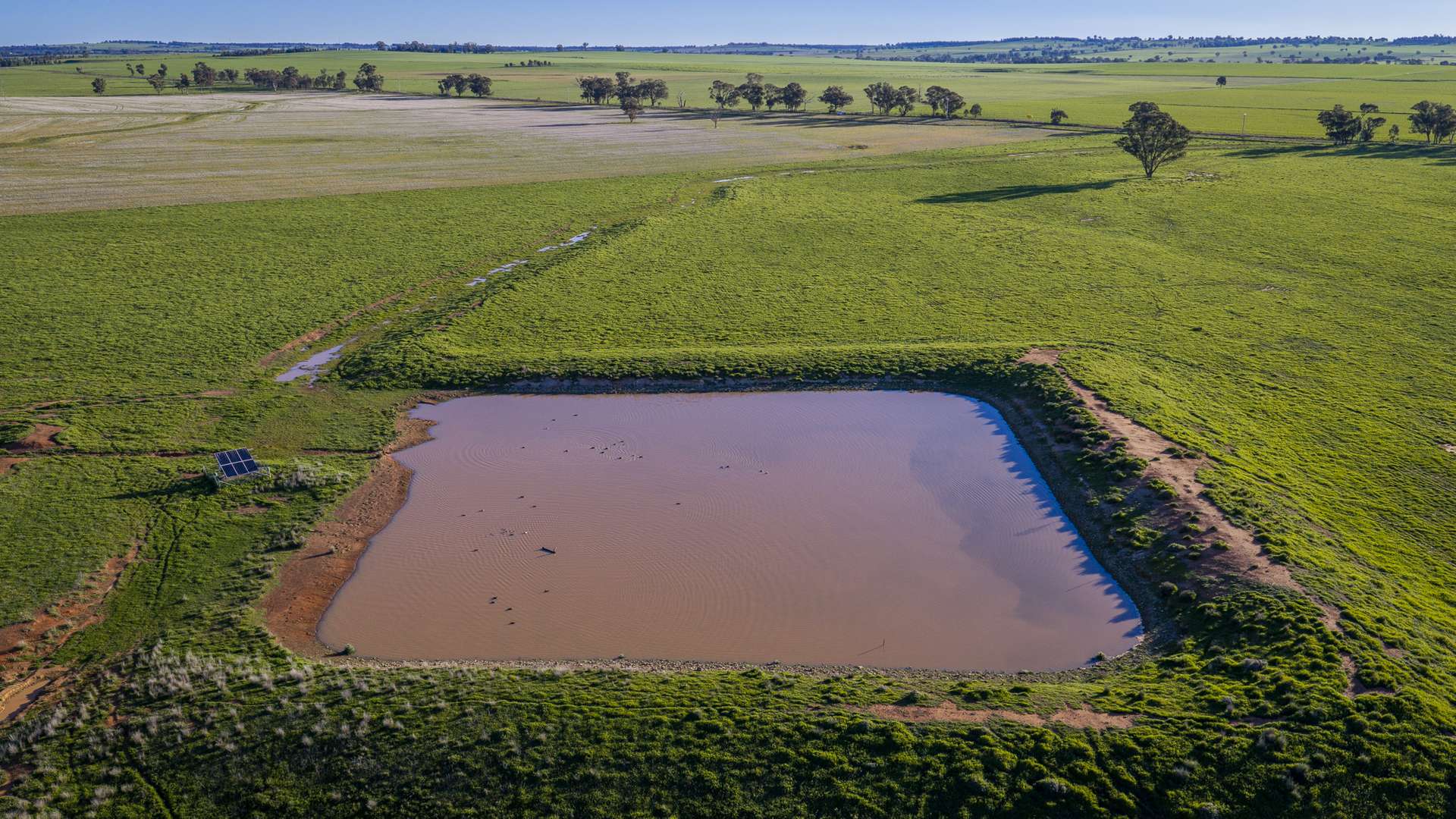12R Quamby Road, Wongarbon Auction by Farmbuy.com - image 7