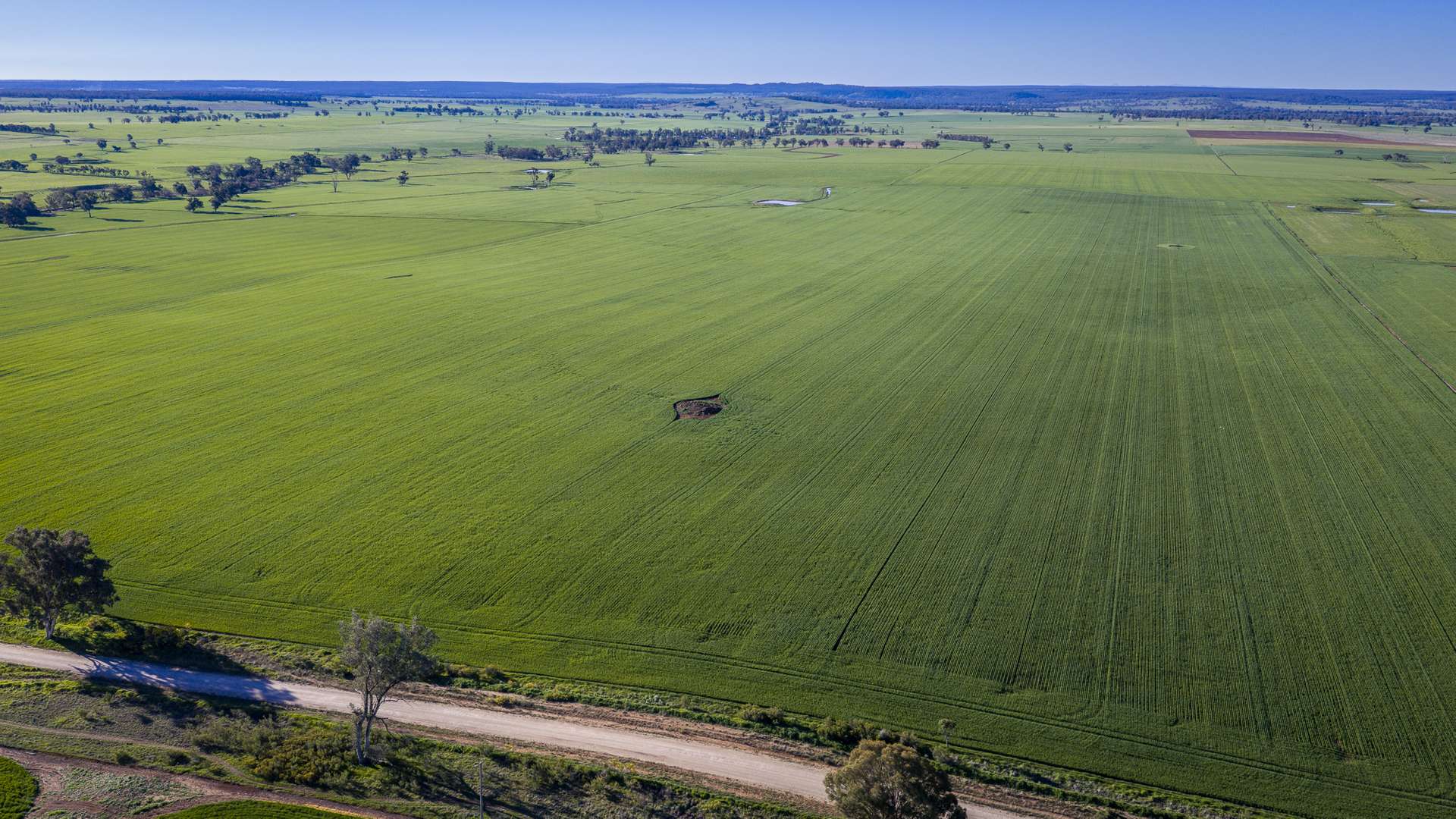 12R Quamby Road, Wongarbon Auction by Farmbuy.com - image 5