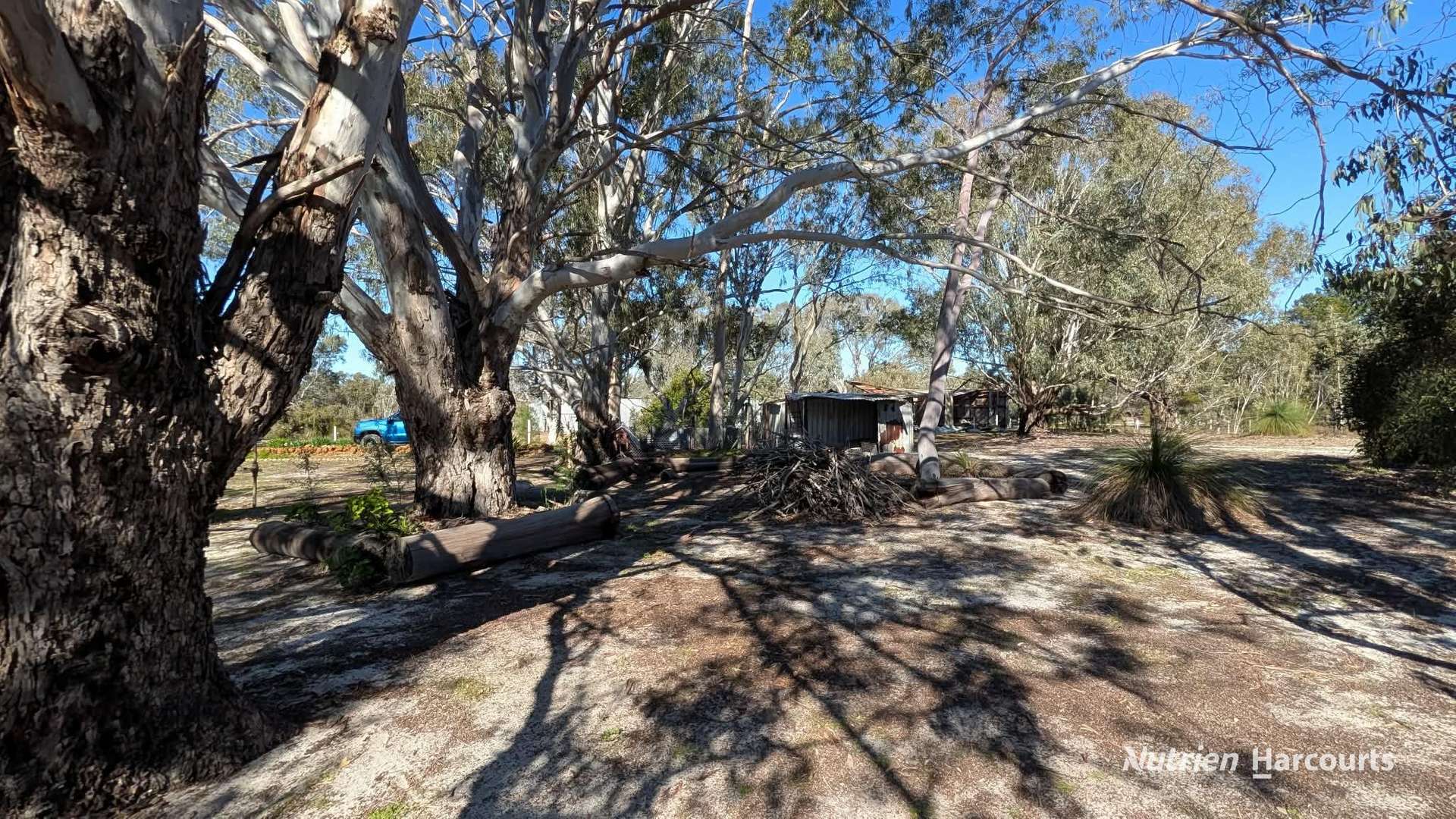 933 Hunter Road, Orange Springs For Sale by Farmbuy.com - image 26