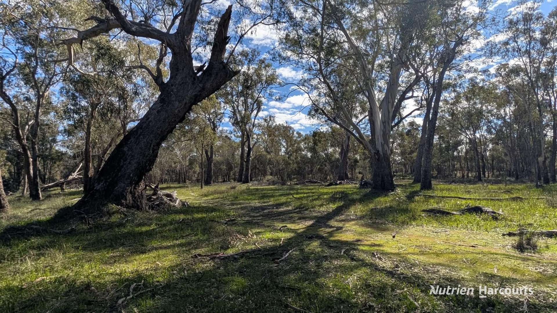 933 Hunter Road, Orange Springs For Sale by Farmbuy.com - image 30
