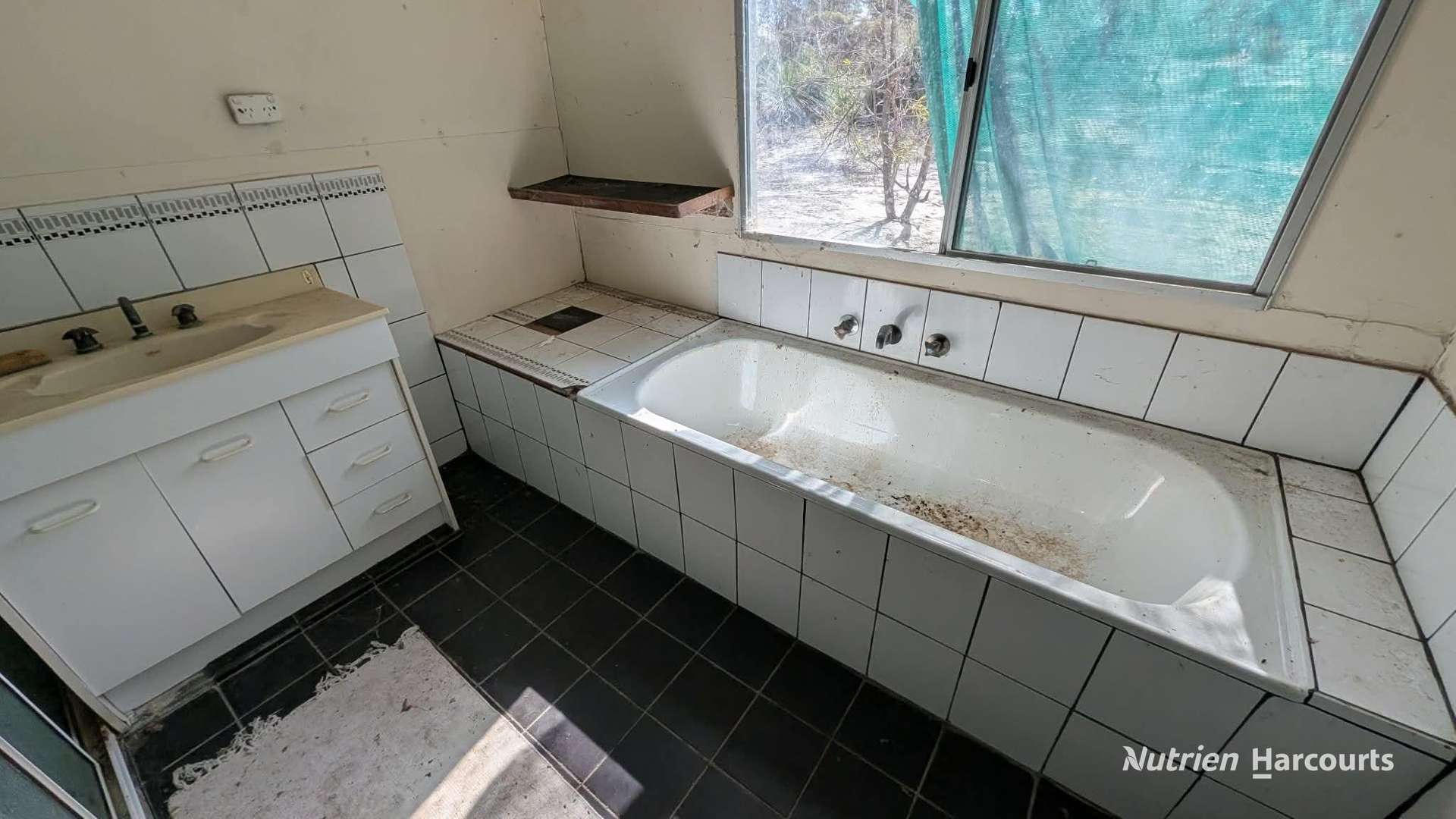 933 Hunter Road, Orange Springs For Sale by Farmbuy.com - image 11