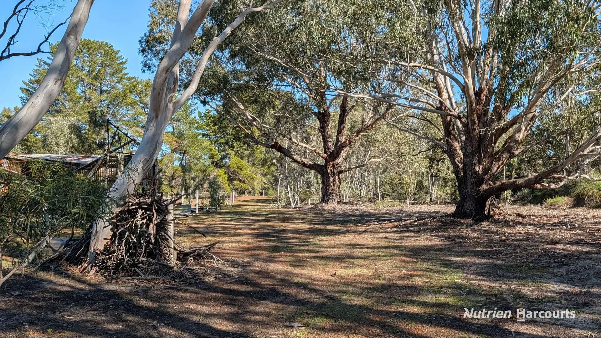 933 Hunter Road, Orange Springs For Sale by Farmbuy.com - image 32