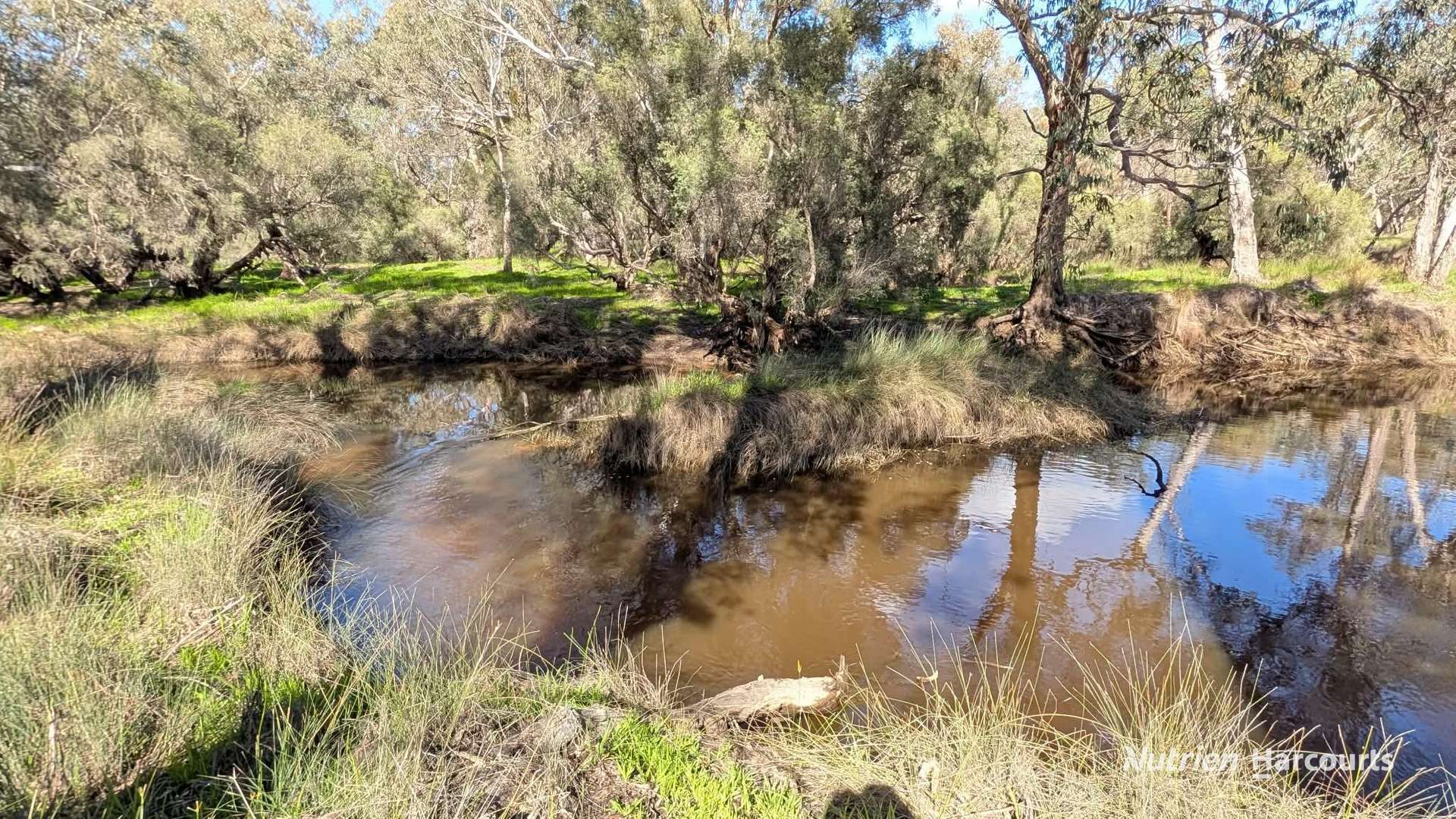 933 Hunter Road, Orange Springs For Sale by Farmbuy.com - image 2