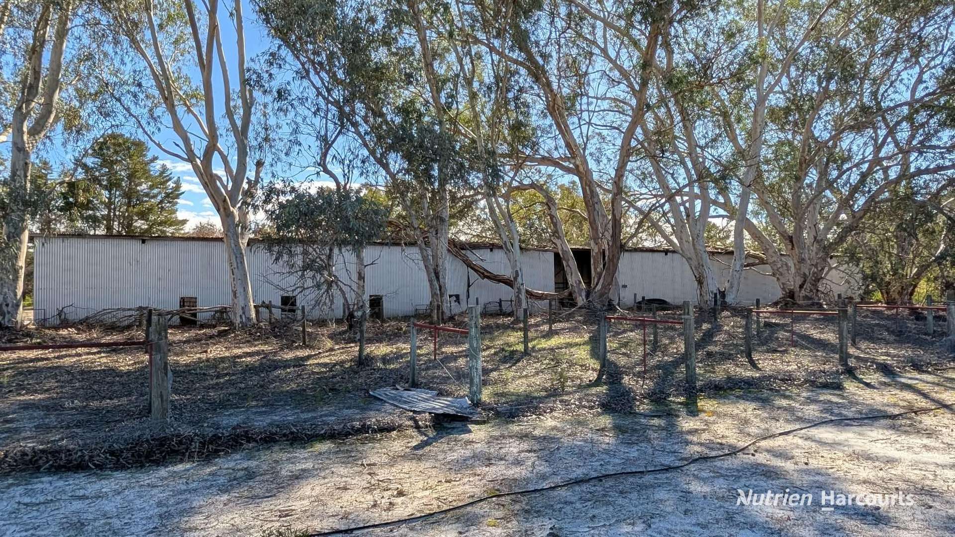 933 Hunter Road, Orange Springs For Sale by Farmbuy.com - image 6