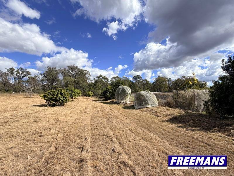 153 Maguire Road, Wattle Camp For Sale by Farmbuy.com - image 19