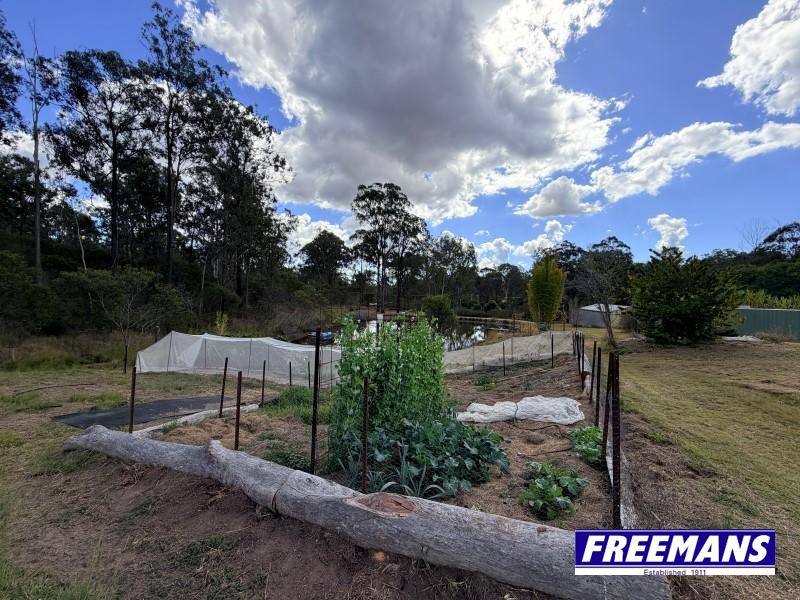 153 Maguire Road, Wattle Camp For Sale by Farmbuy.com - image 16