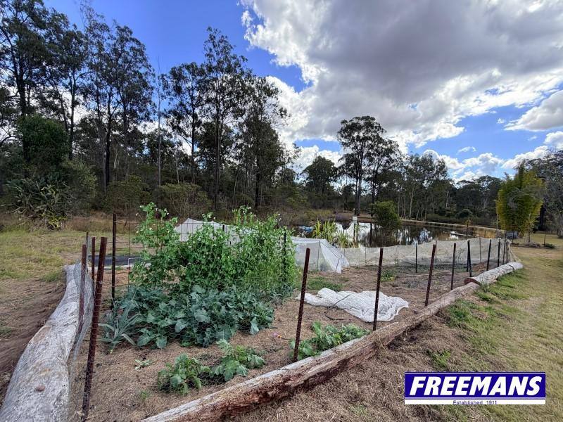 153 Maguire Road, Wattle Camp For Sale by Farmbuy.com - image 15