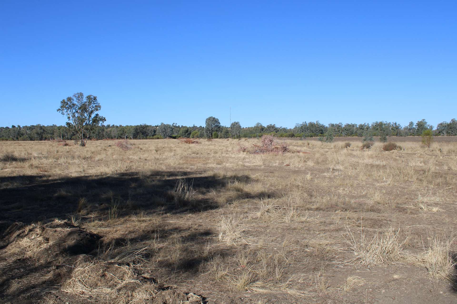 9 ,10, 11 & 217 ROMA TAROOM ROAD, Taroom For Sale by Farmbuy.com - image 11