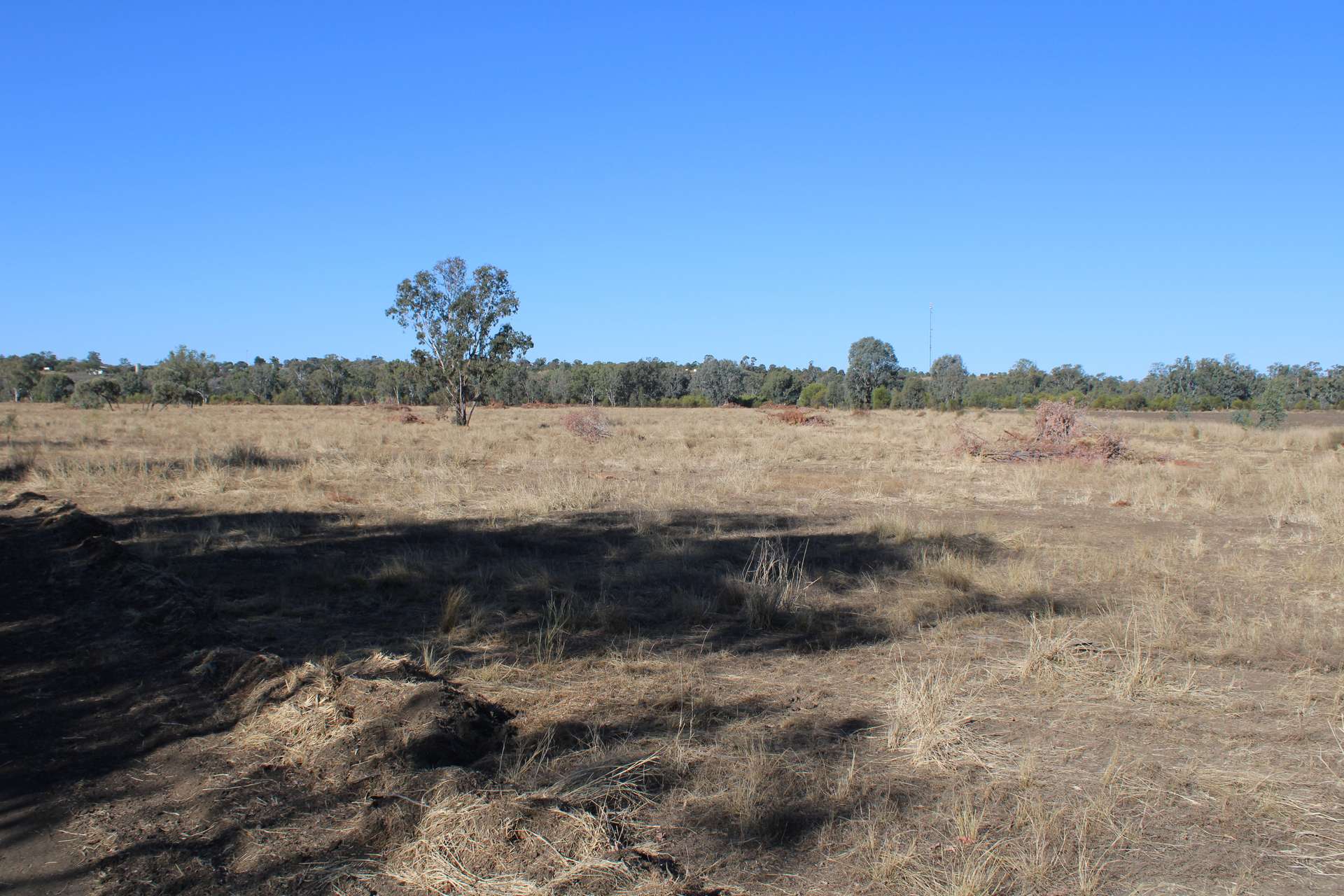 9 ,10, 11 & 217 ROMA TAROOM ROAD, Taroom For Sale by Farmbuy.com - image 7