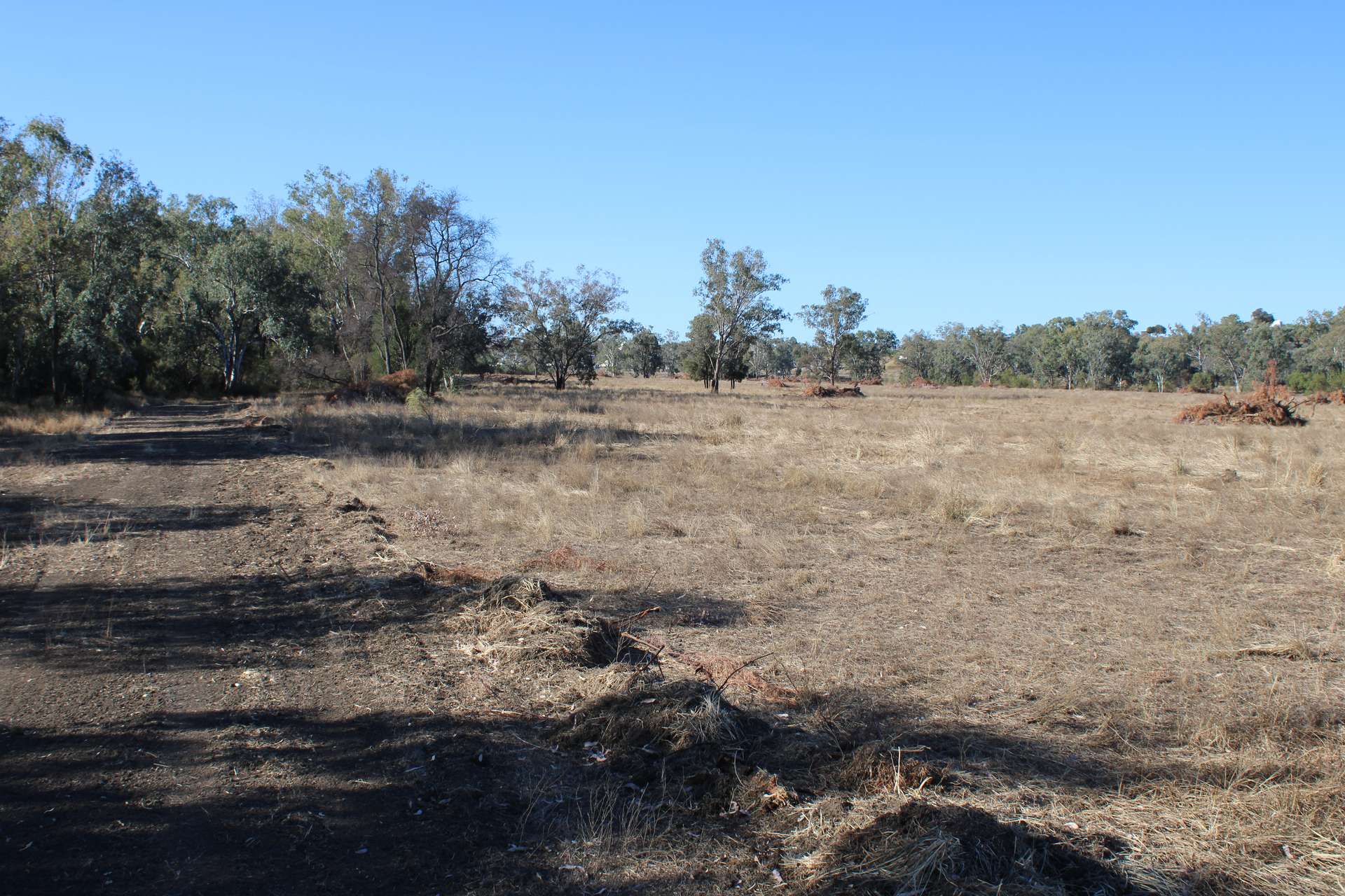 9 ,10, 11 & 217 ROMA TAROOM ROAD, Taroom For Sale by Farmbuy.com - image 15