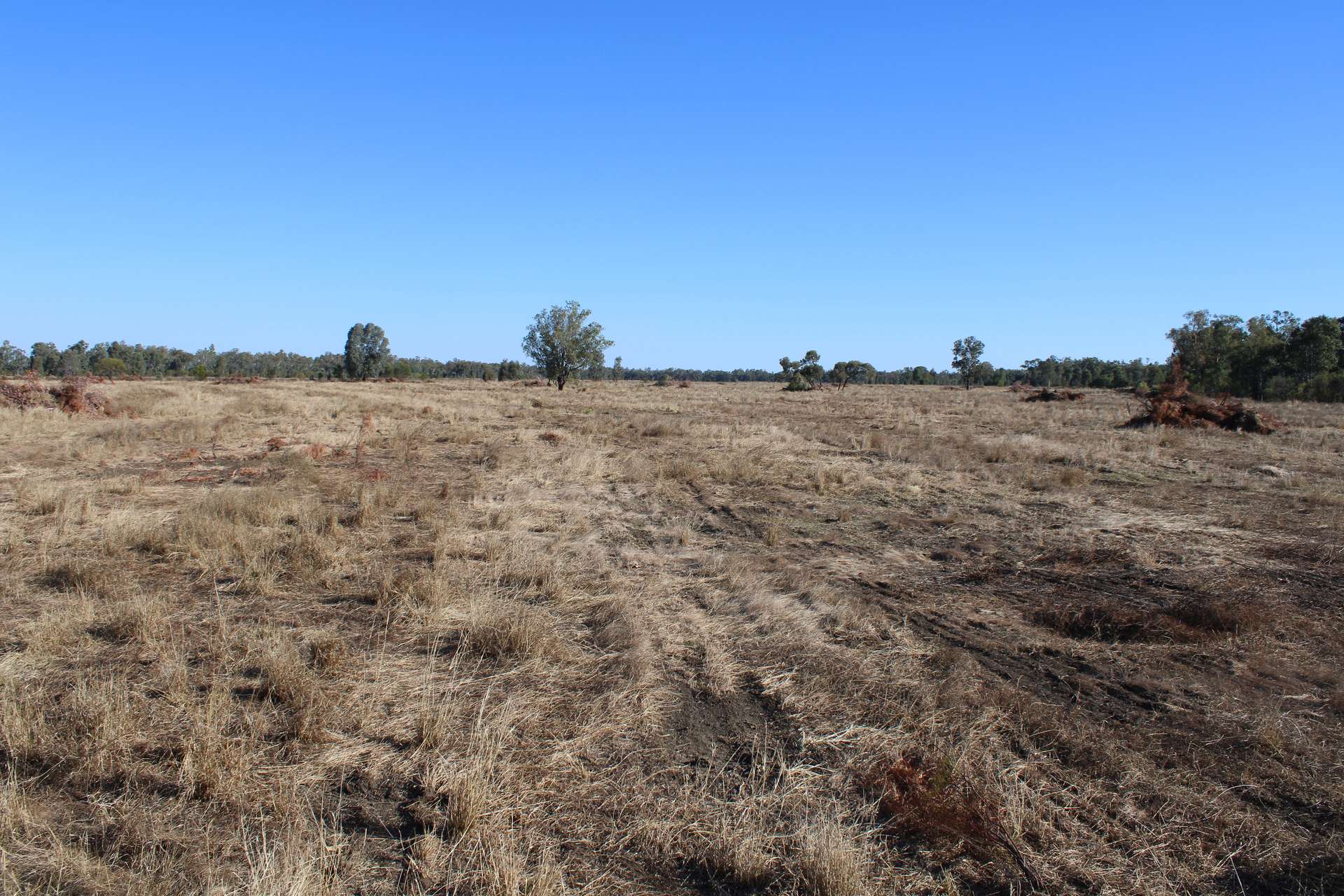 9 ,10, 11 & 217 ROMA TAROOM ROAD, Taroom For Sale by Farmbuy.com - image 20