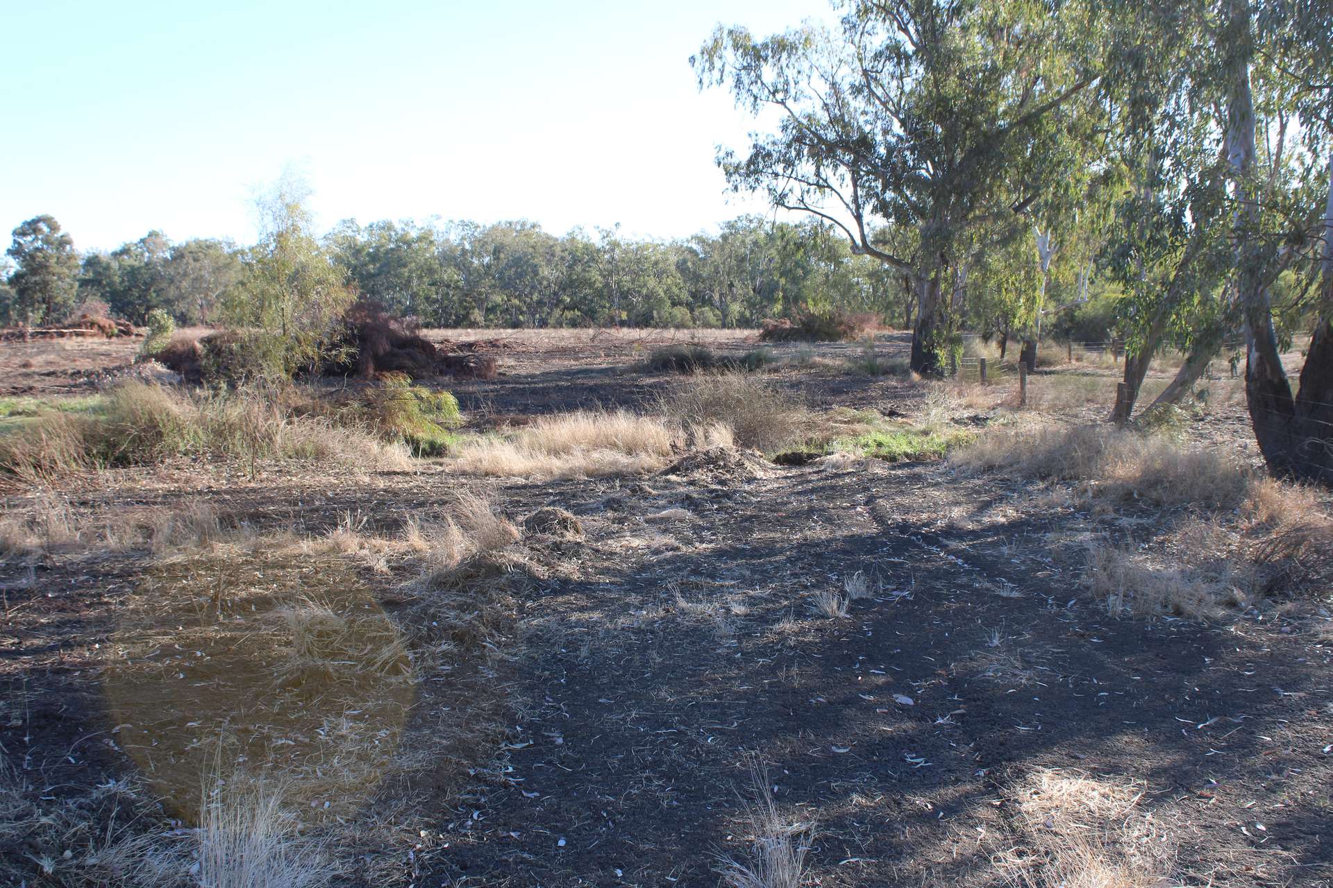 9 ,10, 11 & 217 ROMA TAROOM ROAD, Taroom For Sale by Farmbuy.com - image 32