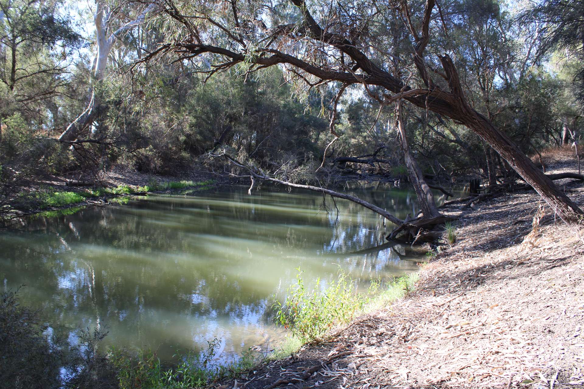 9 ,10, 11 & 217 ROMA TAROOM ROAD, Taroom For Sale by Farmbuy.com - image 9
