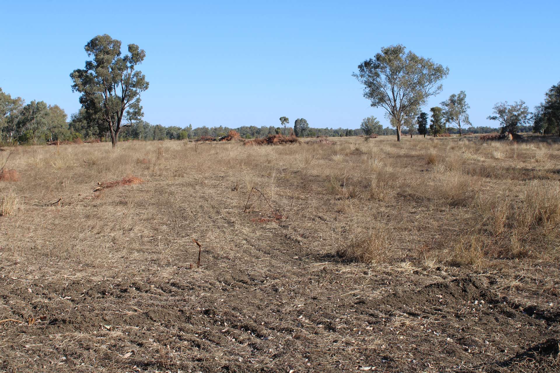 9 ,10, 11 & 217 ROMA TAROOM ROAD, Taroom For Sale by Farmbuy.com - image 29