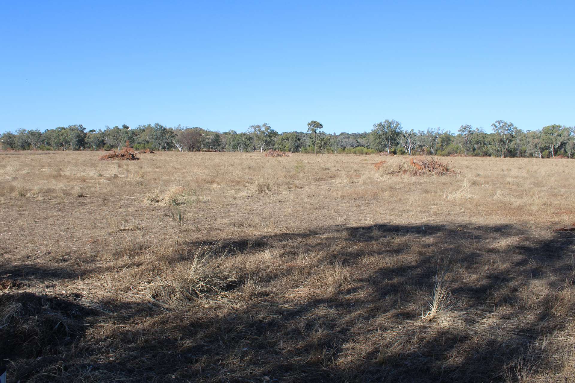 9 ,10, 11 & 217 ROMA TAROOM ROAD, Taroom For Sale by Farmbuy.com - image 17
