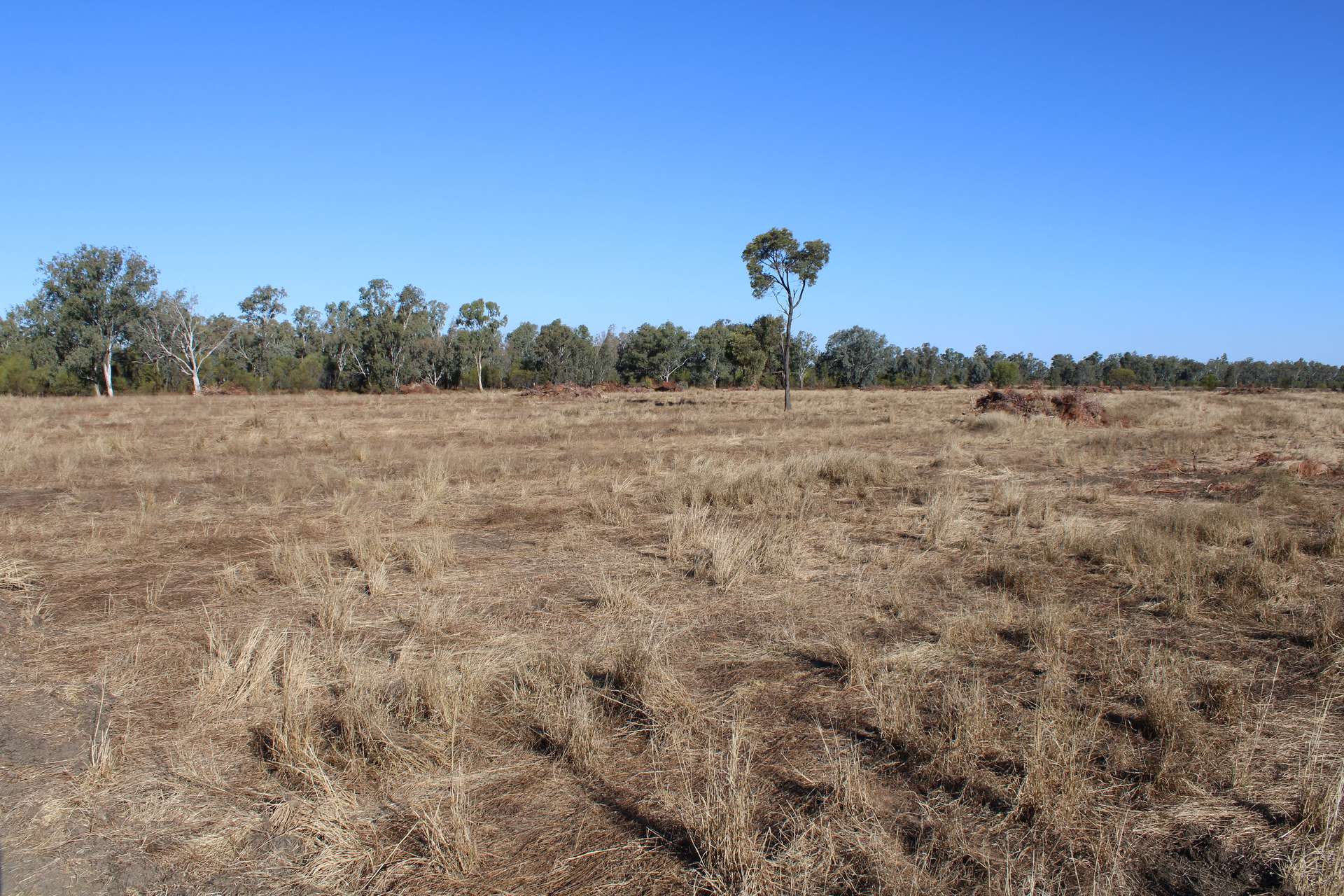 9 ,10, 11 & 217 ROMA TAROOM ROAD, Taroom For Sale by Farmbuy.com - image 22