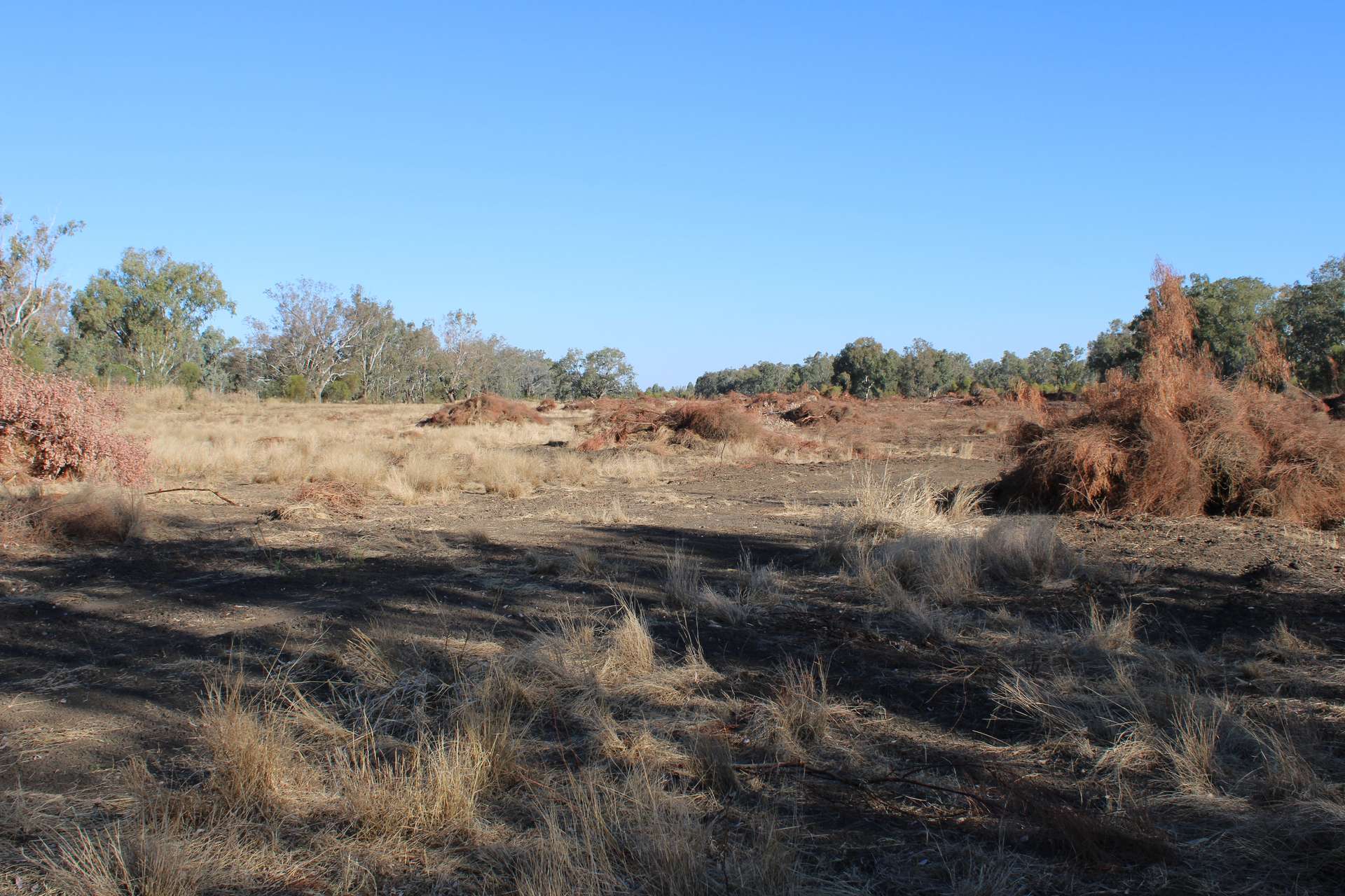 9 ,10, 11 & 217 ROMA TAROOM ROAD, Taroom For Sale by Farmbuy.com - image 33