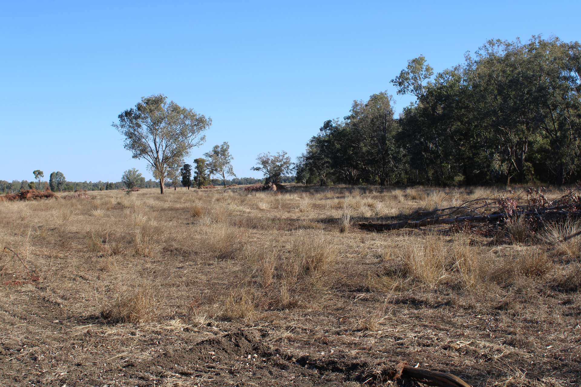 9 ,10, 11 & 217 ROMA TAROOM ROAD, Taroom For Sale by Farmbuy.com - image 30