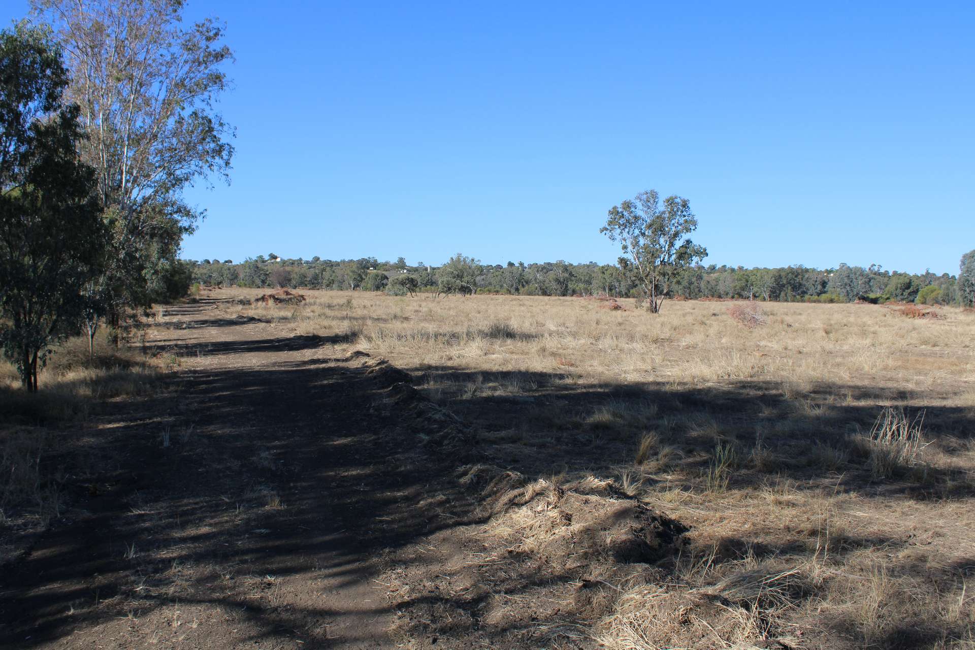 9 ,10, 11 & 217 ROMA TAROOM ROAD, Taroom For Sale by Farmbuy.com - image 6