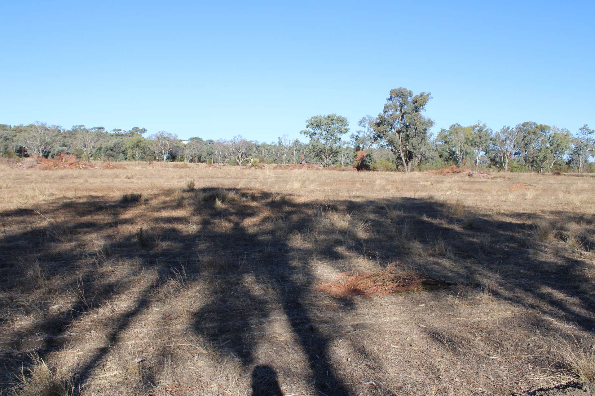 9 ,10, 11 & 217 ROMA TAROOM ROAD, Taroom For Sale by Farmbuy.com - image 25
