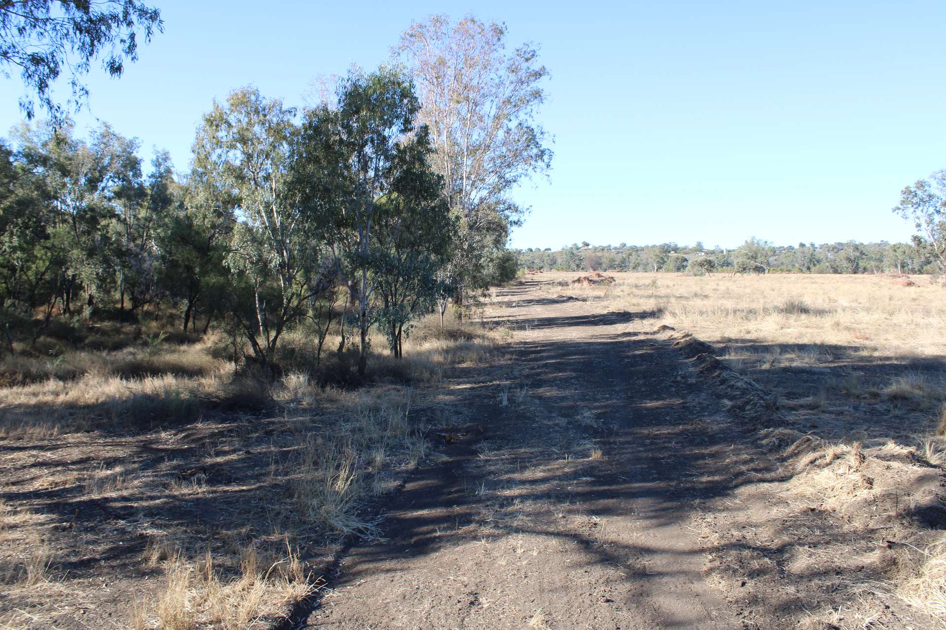 9 ,10, 11 & 217 ROMA TAROOM ROAD, Taroom For Sale by Farmbuy.com - image 8
