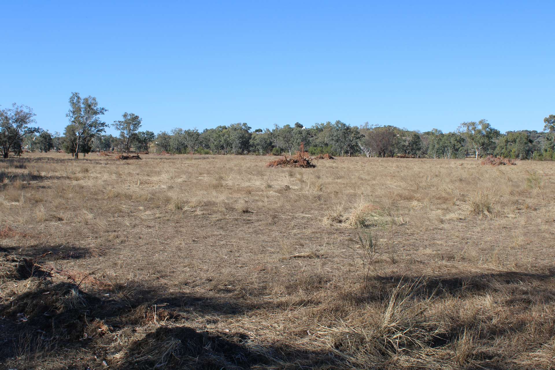 9 ,10, 11 & 217 ROMA TAROOM ROAD, Taroom For Sale by Farmbuy.com - image 16