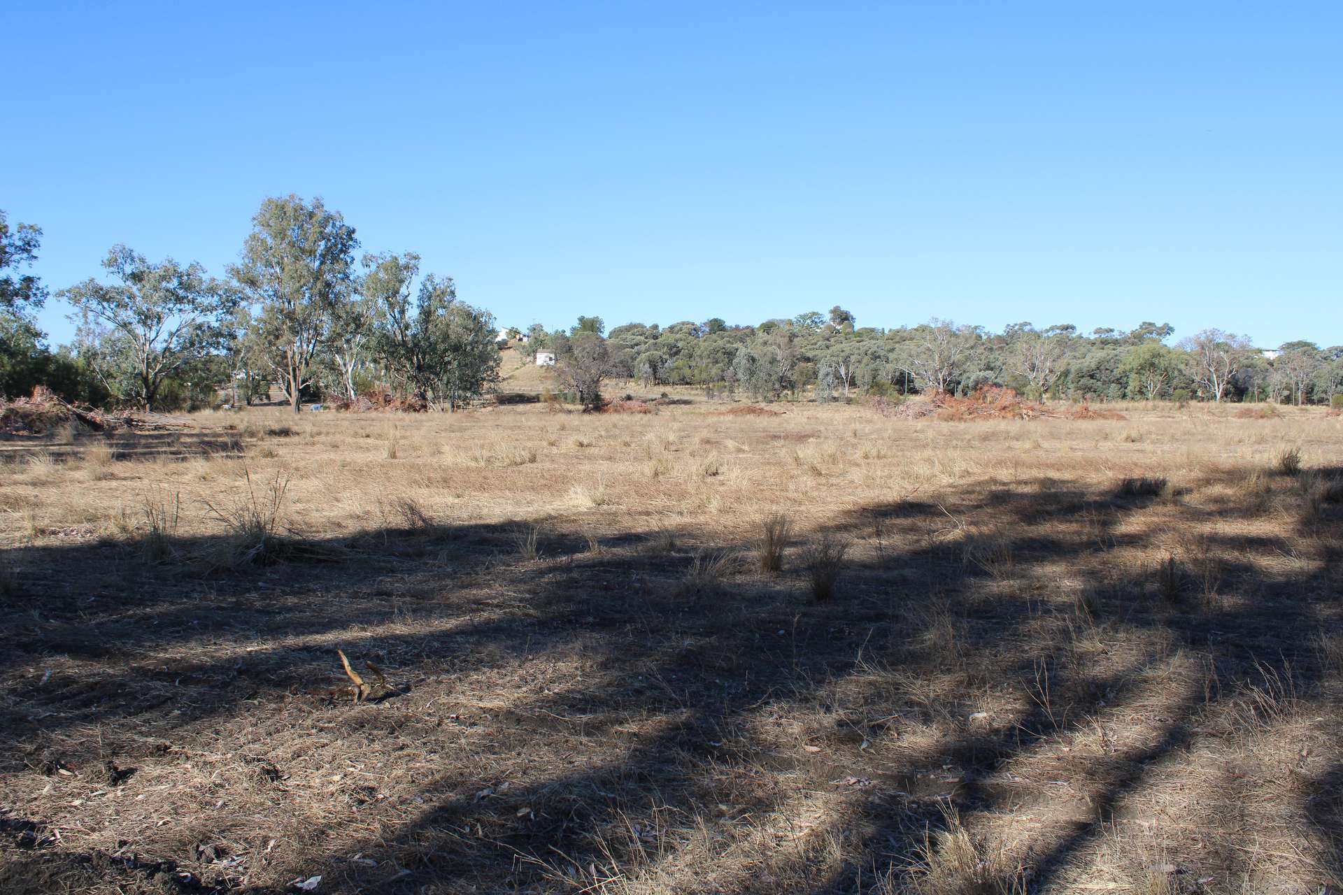 9 ,10, 11 & 217 ROMA TAROOM ROAD, Taroom For Sale by Farmbuy.com - image 24