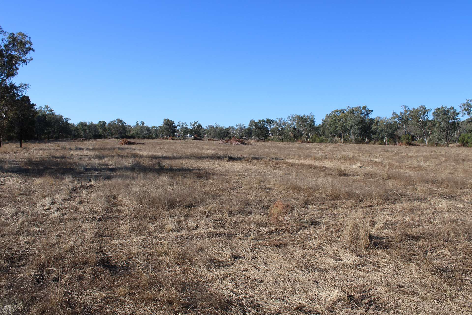 9 ,10, 11 & 217 ROMA TAROOM ROAD, Taroom For Sale by Farmbuy.com - image 19