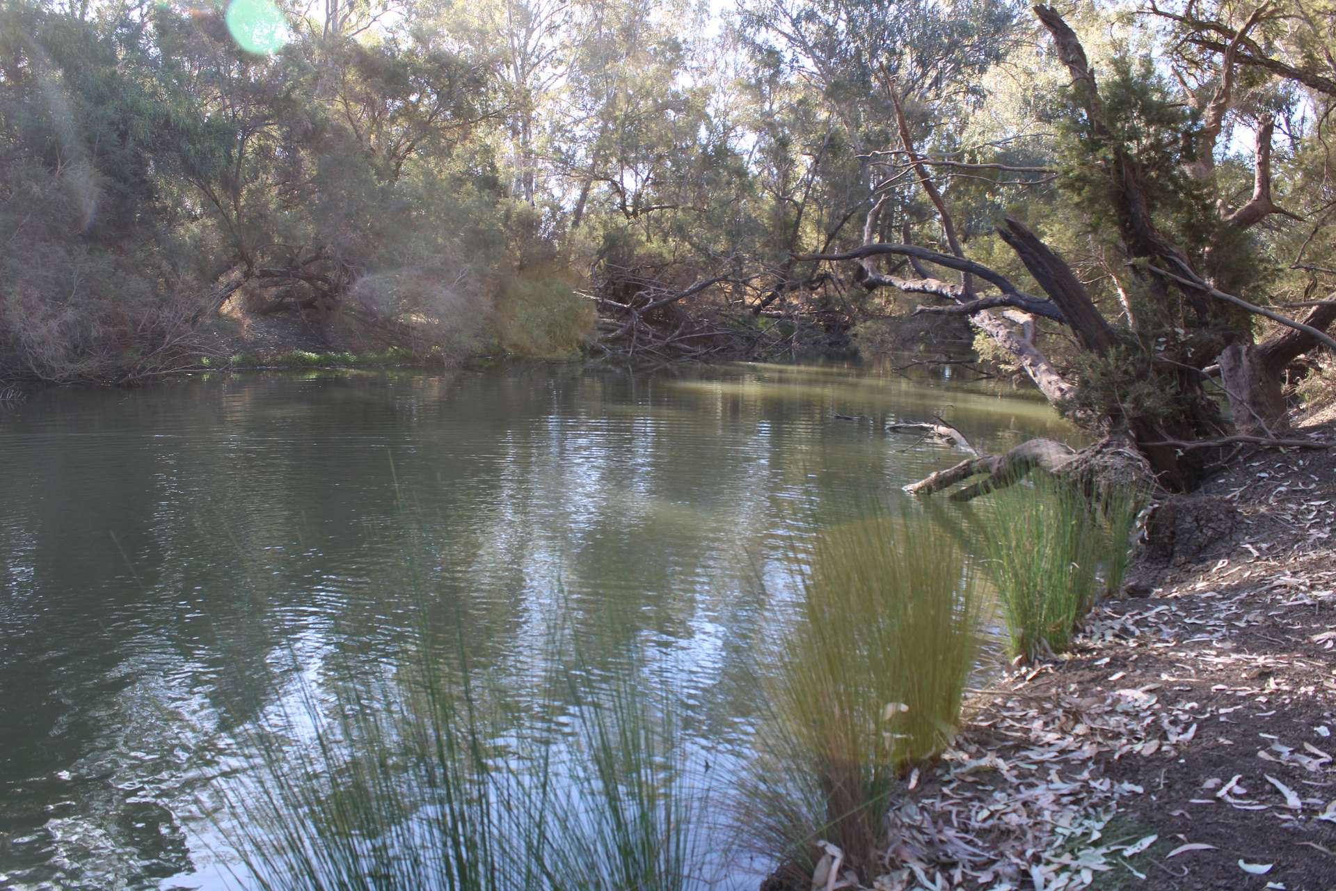 9 ,10, 11 & 217 ROMA TAROOM ROAD, Taroom For Sale by Farmbuy.com - image 27