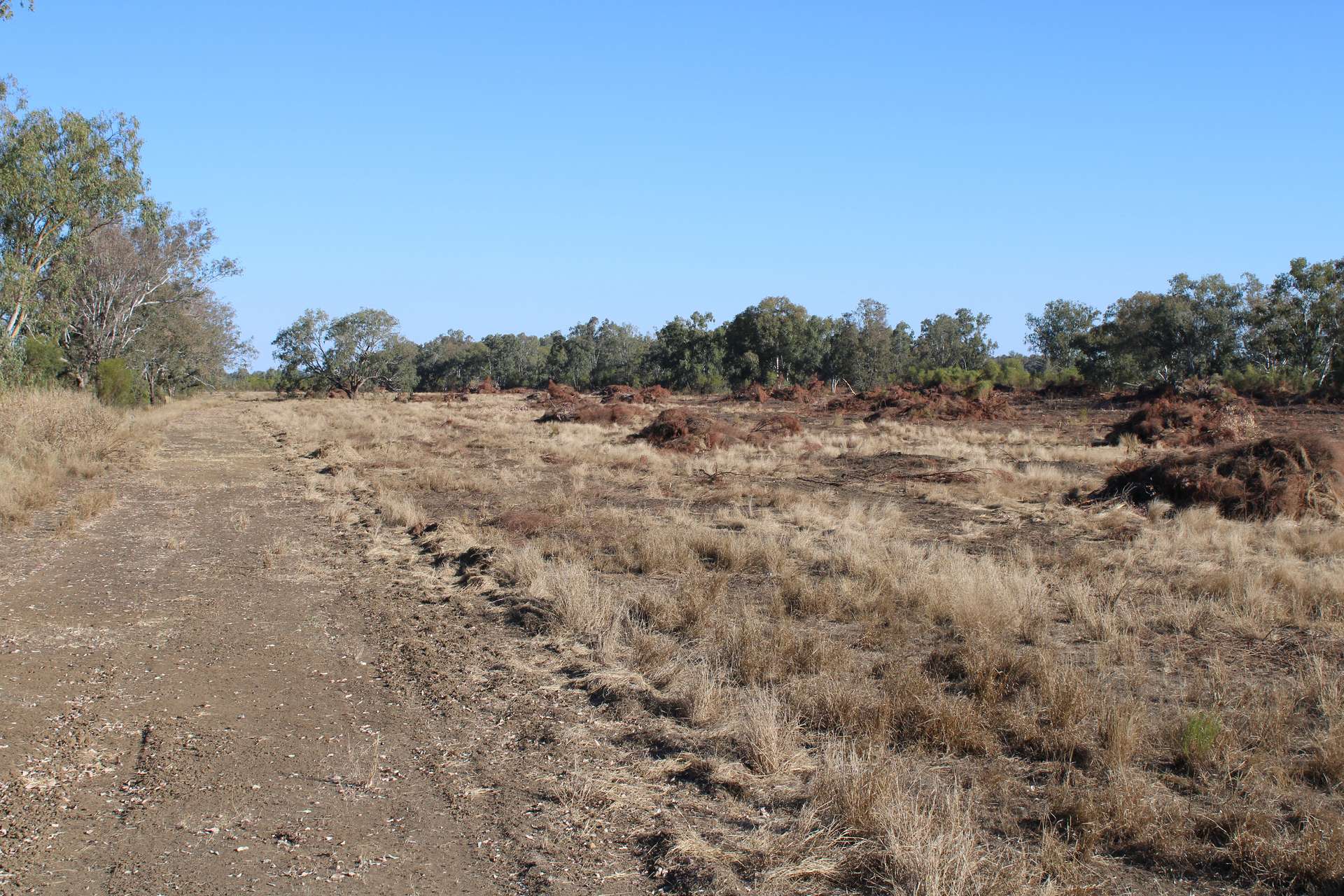 9 ,10, 11 & 217 ROMA TAROOM ROAD, Taroom For Sale by Farmbuy.com - image 35