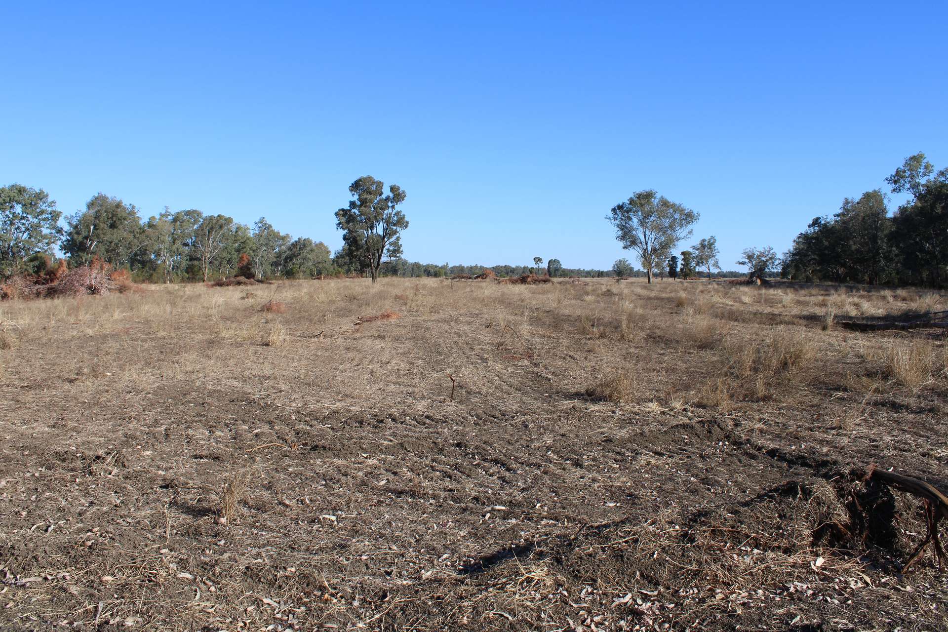 9 ,10, 11 & 217 ROMA TAROOM ROAD, Taroom For Sale by Farmbuy.com - image 28
